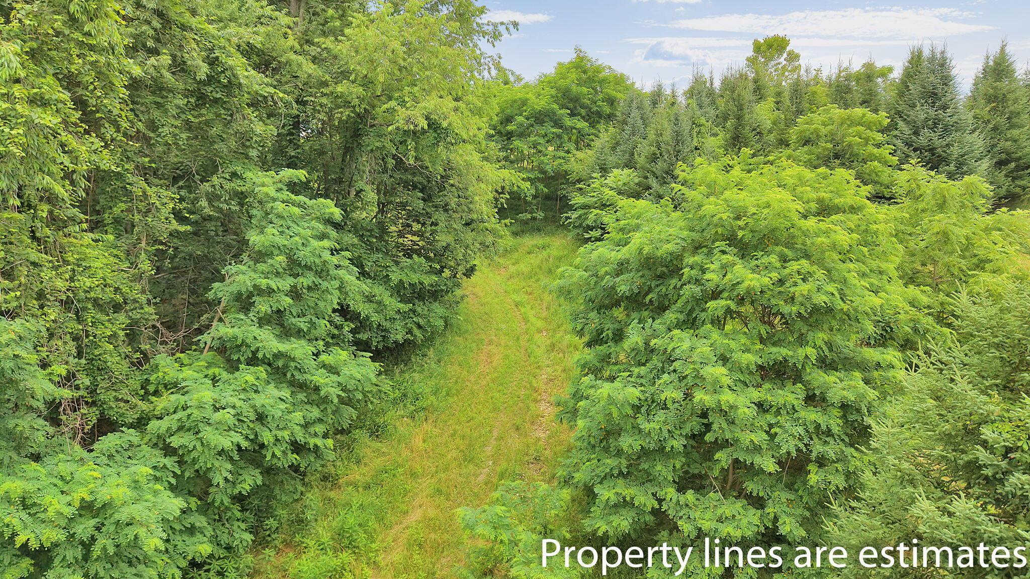 0 Maharg Road Ne Property Photo 6