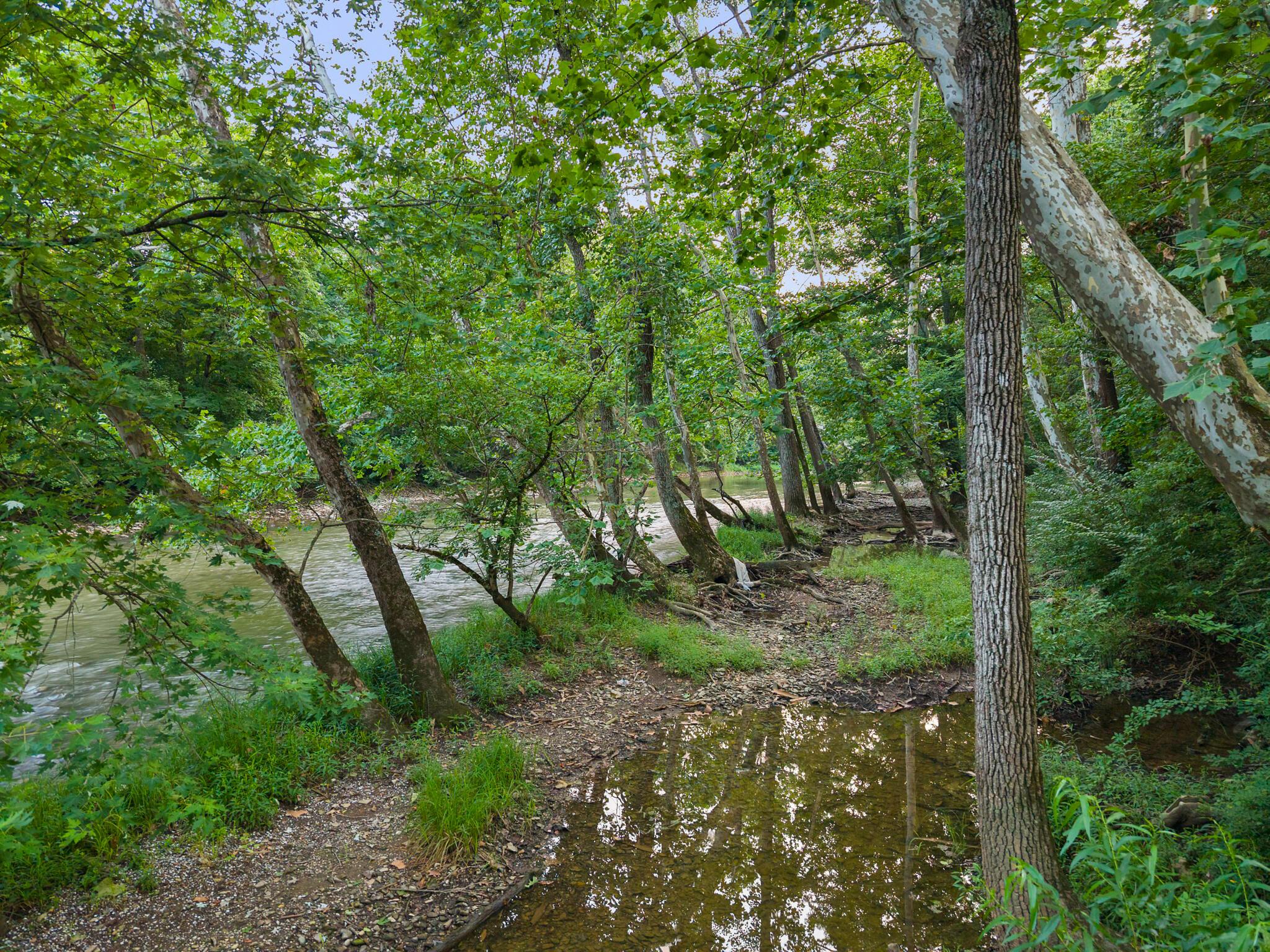 8316 River Rock Lane Property Photo 124