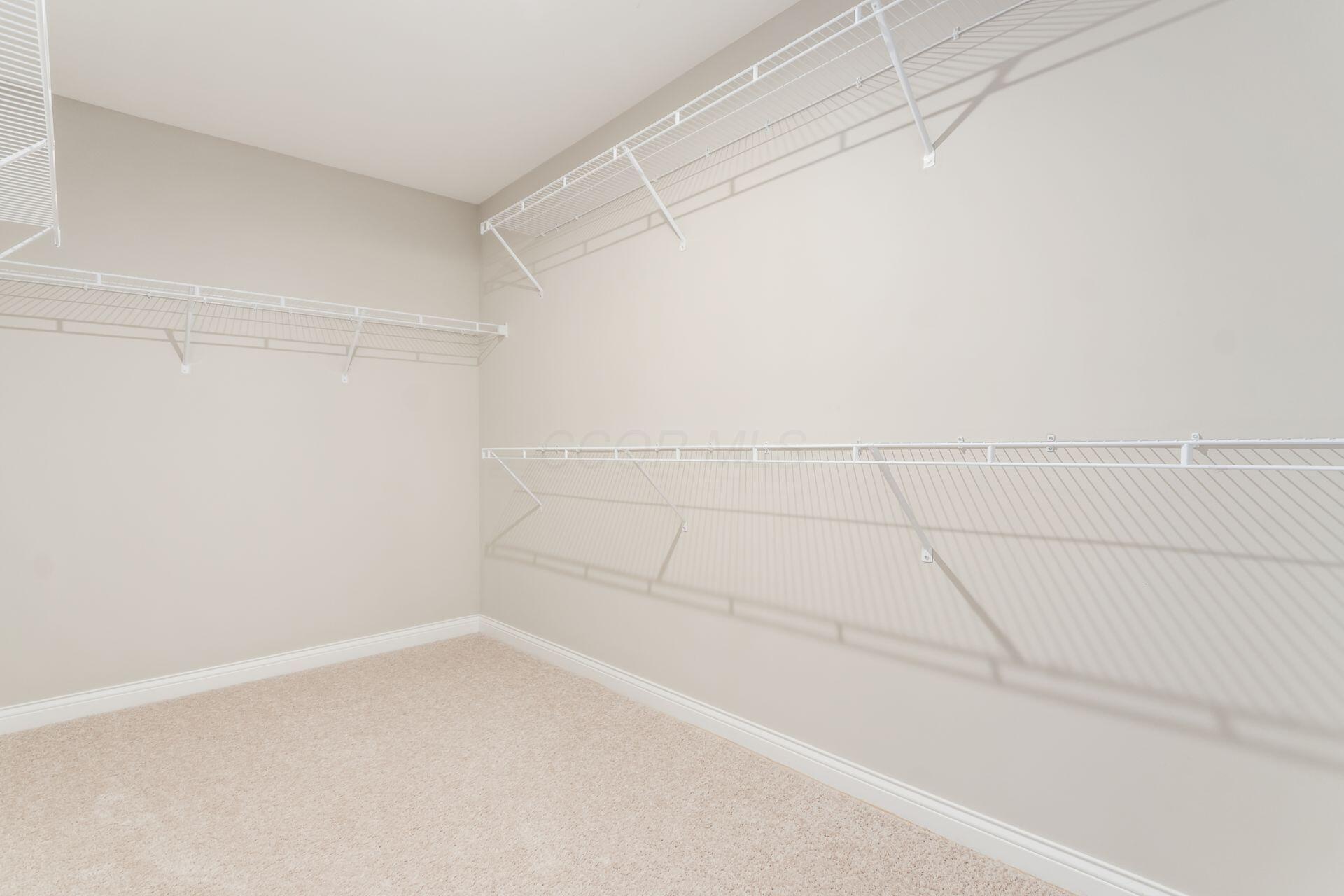 239 Harness Way Property Photo 29