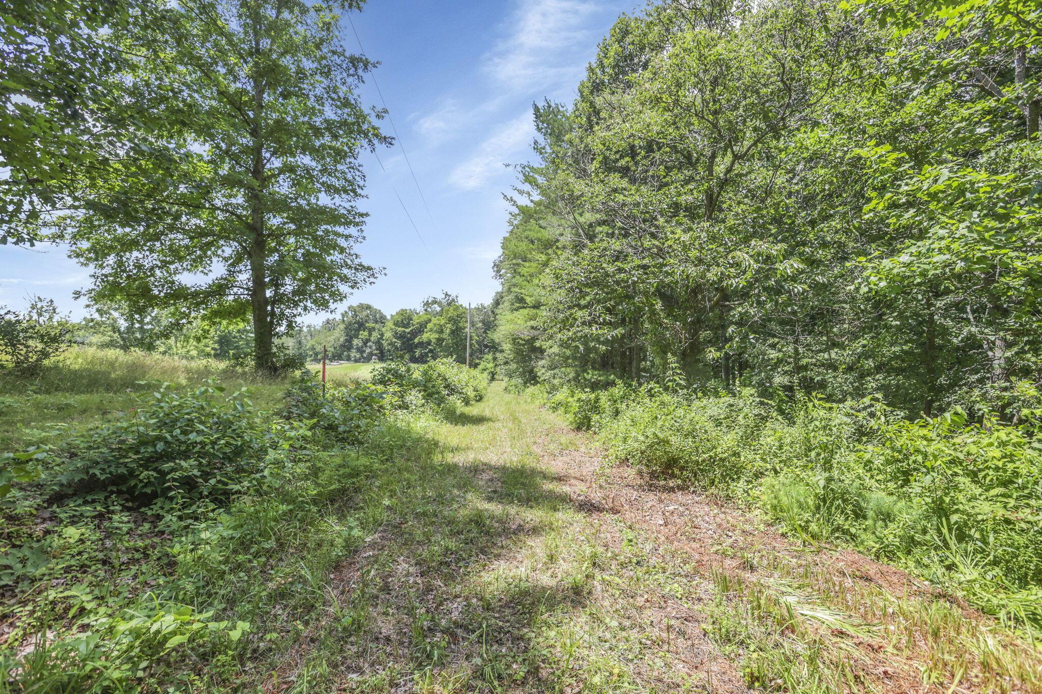 0 Us Hwy 50 Highway, W Property Photo 12