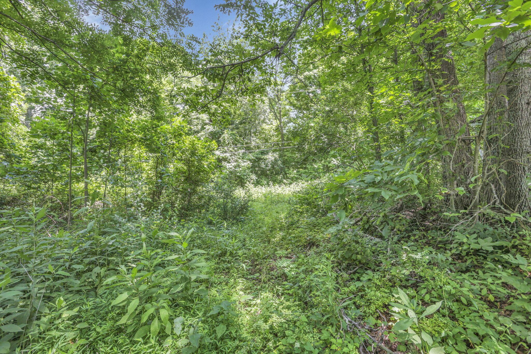 0 Us Hwy 50 Highway, W Property Photo 14
