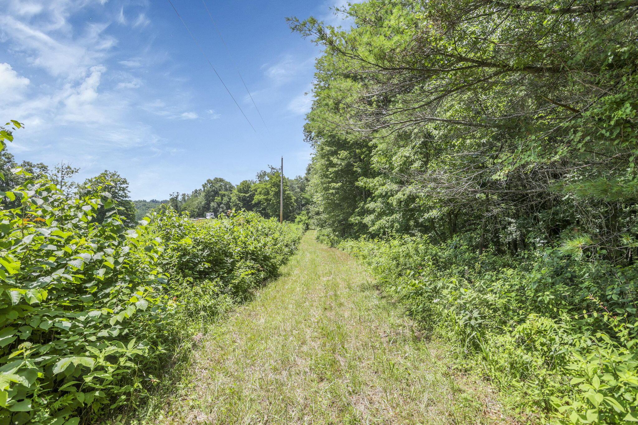 0 Us Hwy 50 Highway, W Property Photo 18