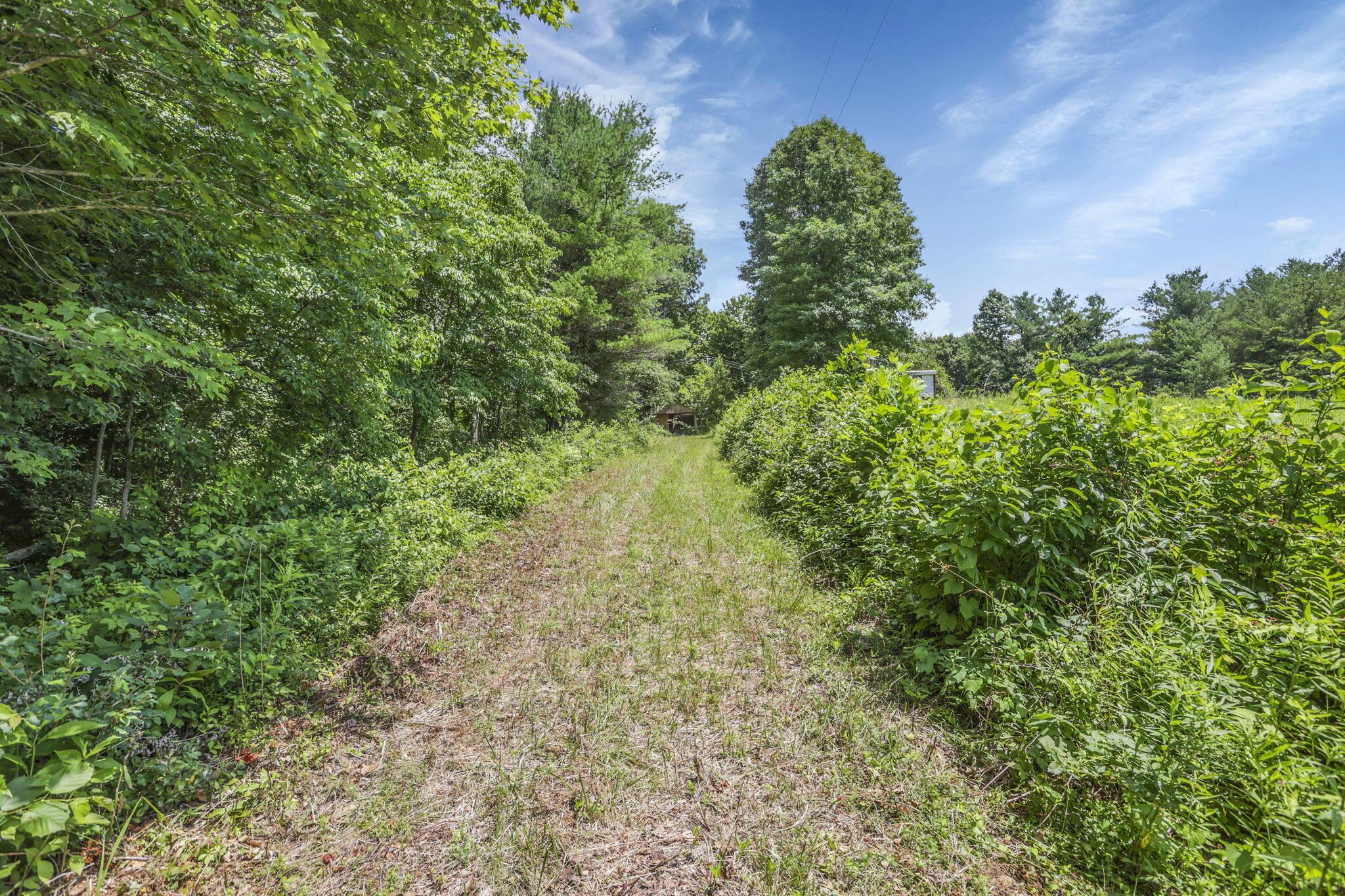 0 Us Hwy 50 Highway, W Property Photo 19