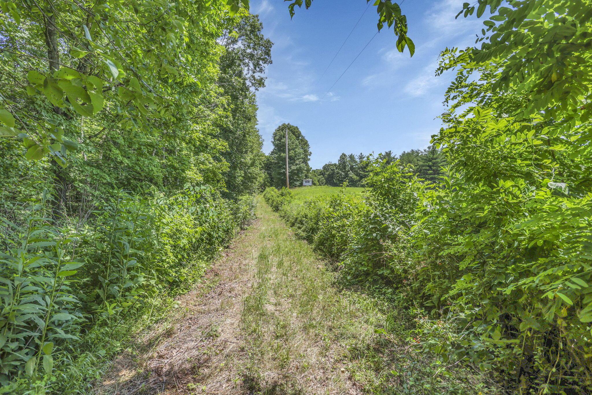 0 Us Hwy 50 Highway, W Property Photo 20