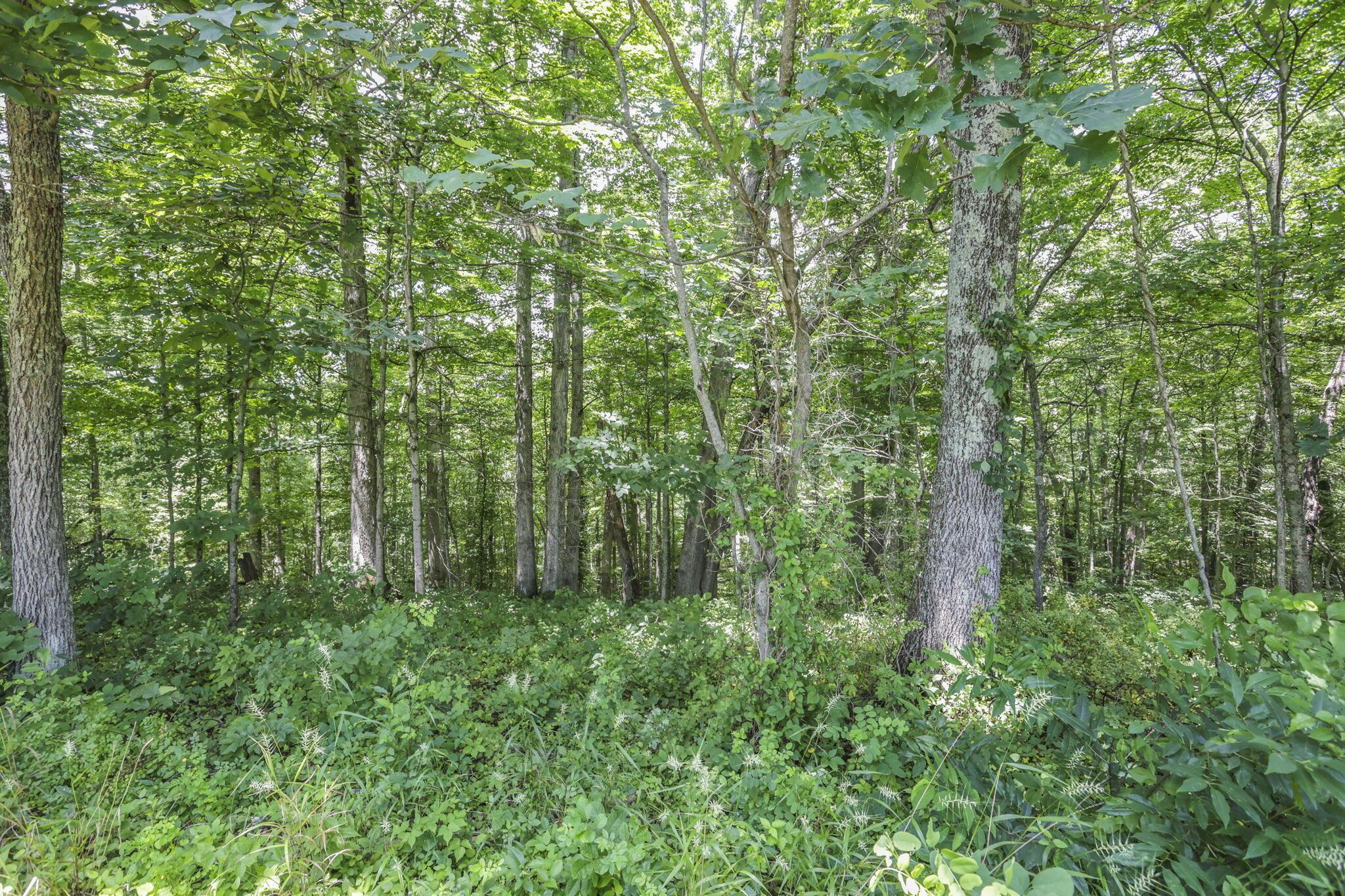 0 Us Hwy 50 Highway, W Property Photo 21