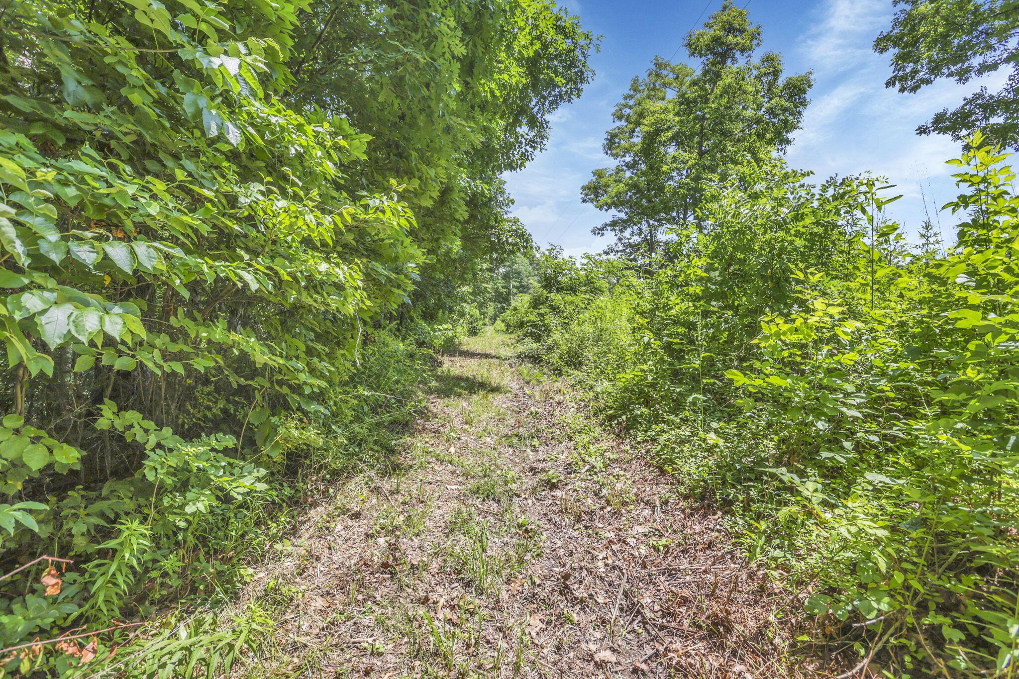 0 Us Hwy 50 Highway, W Property Photo 23