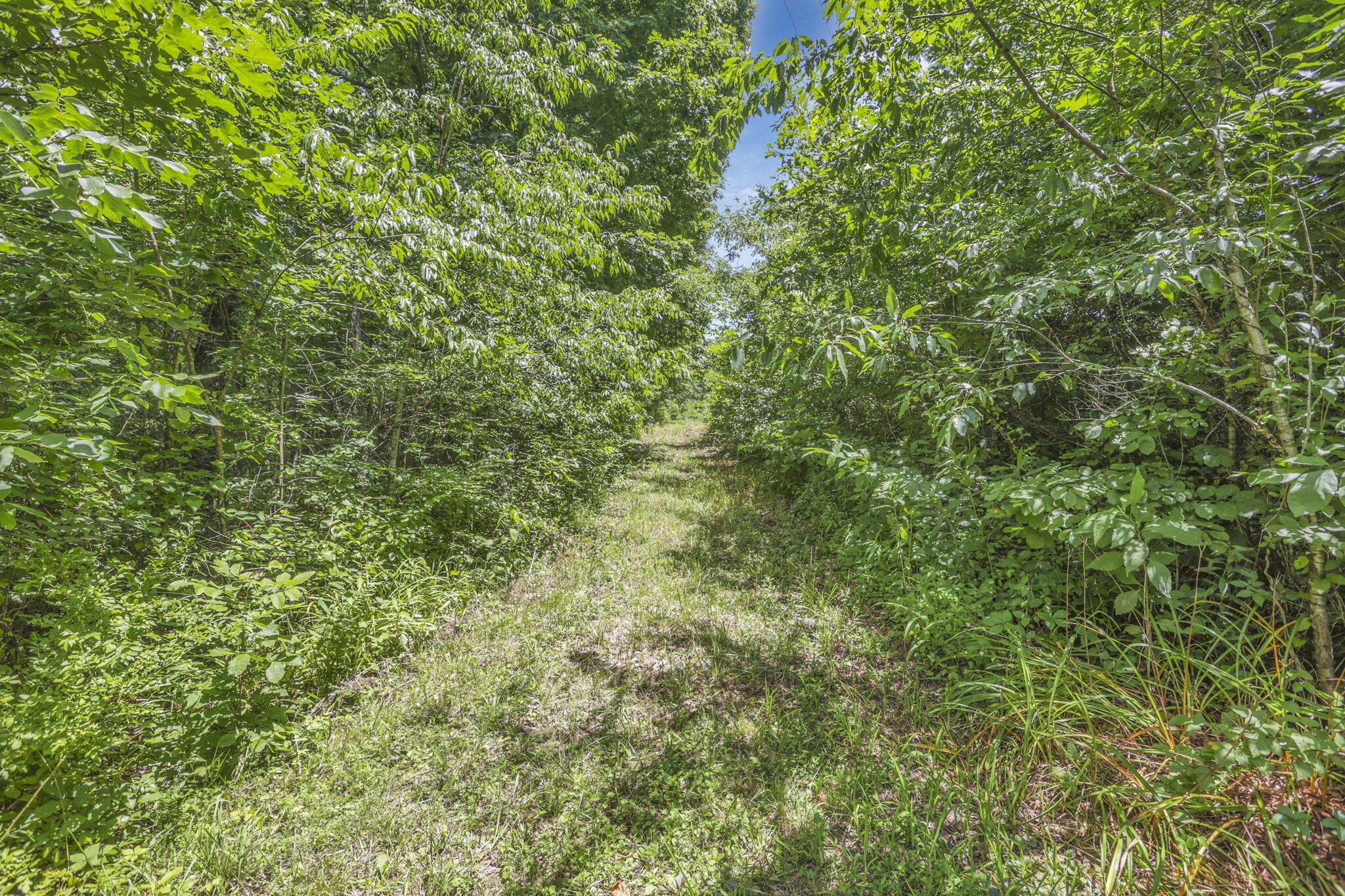 0 Us Hwy 50 Highway, W Property Photo 25
