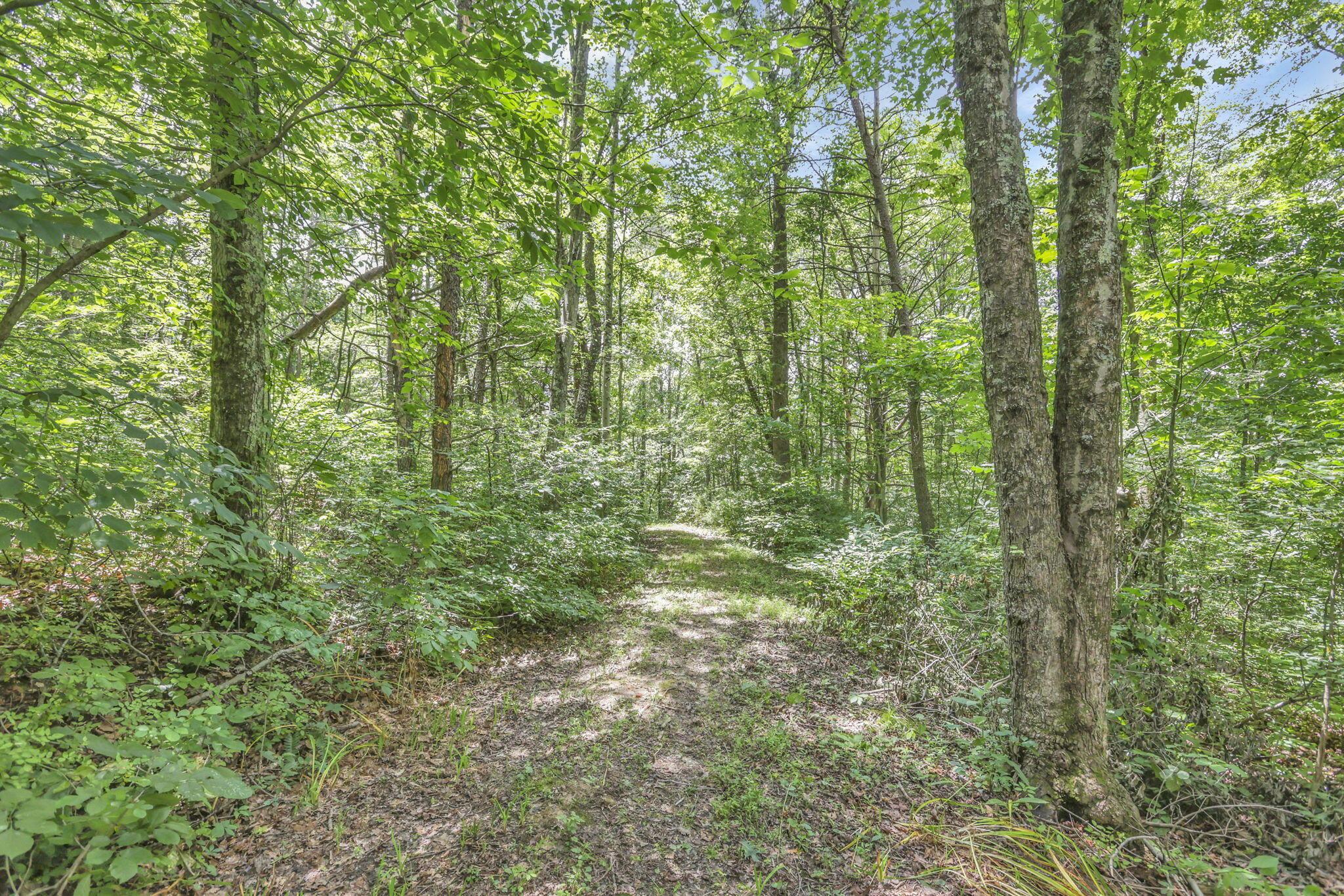 0 Us Hwy 50 Highway, W Property Photo 27