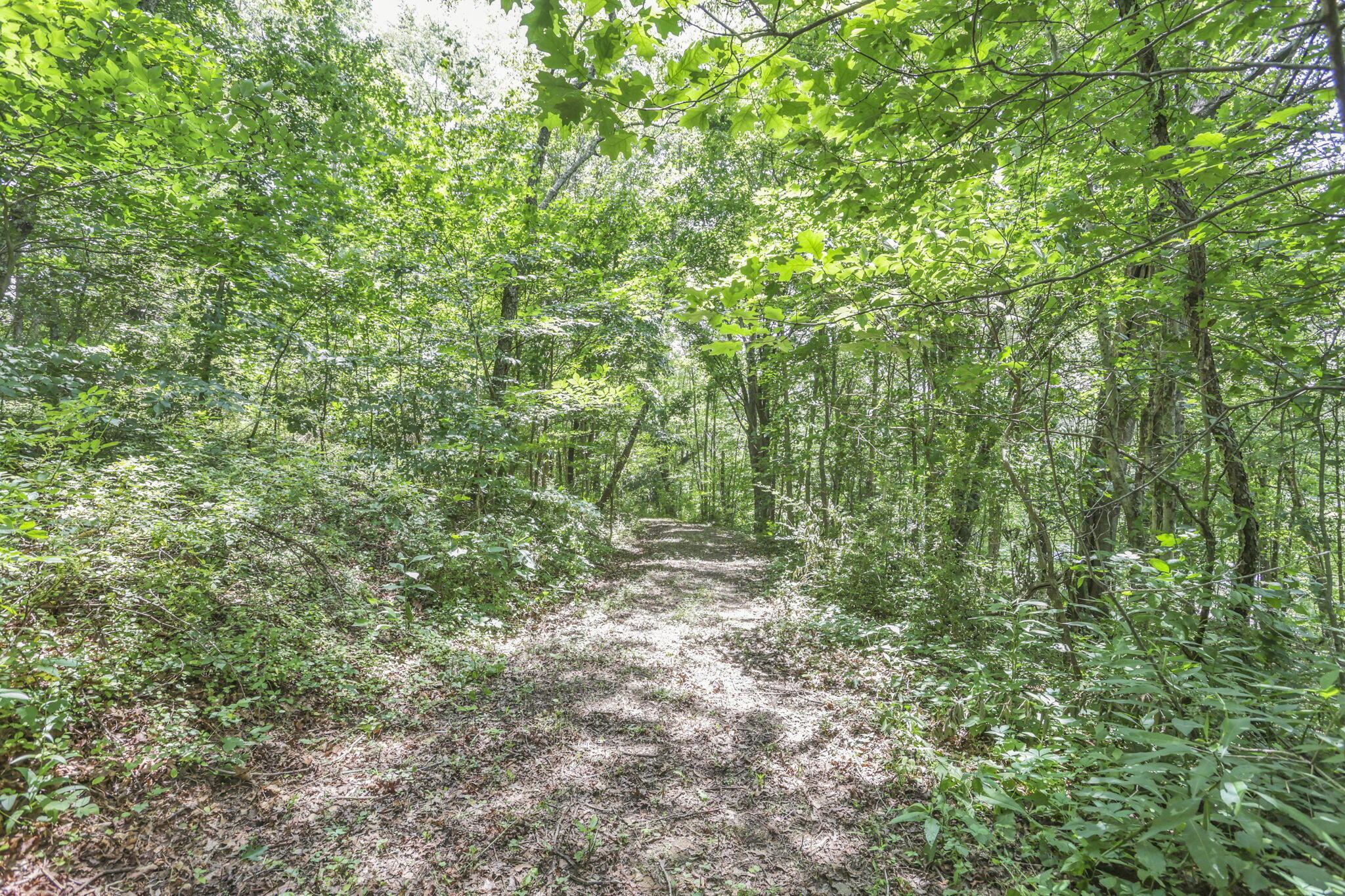 0 Us Hwy 50 Highway, W Property Photo 29