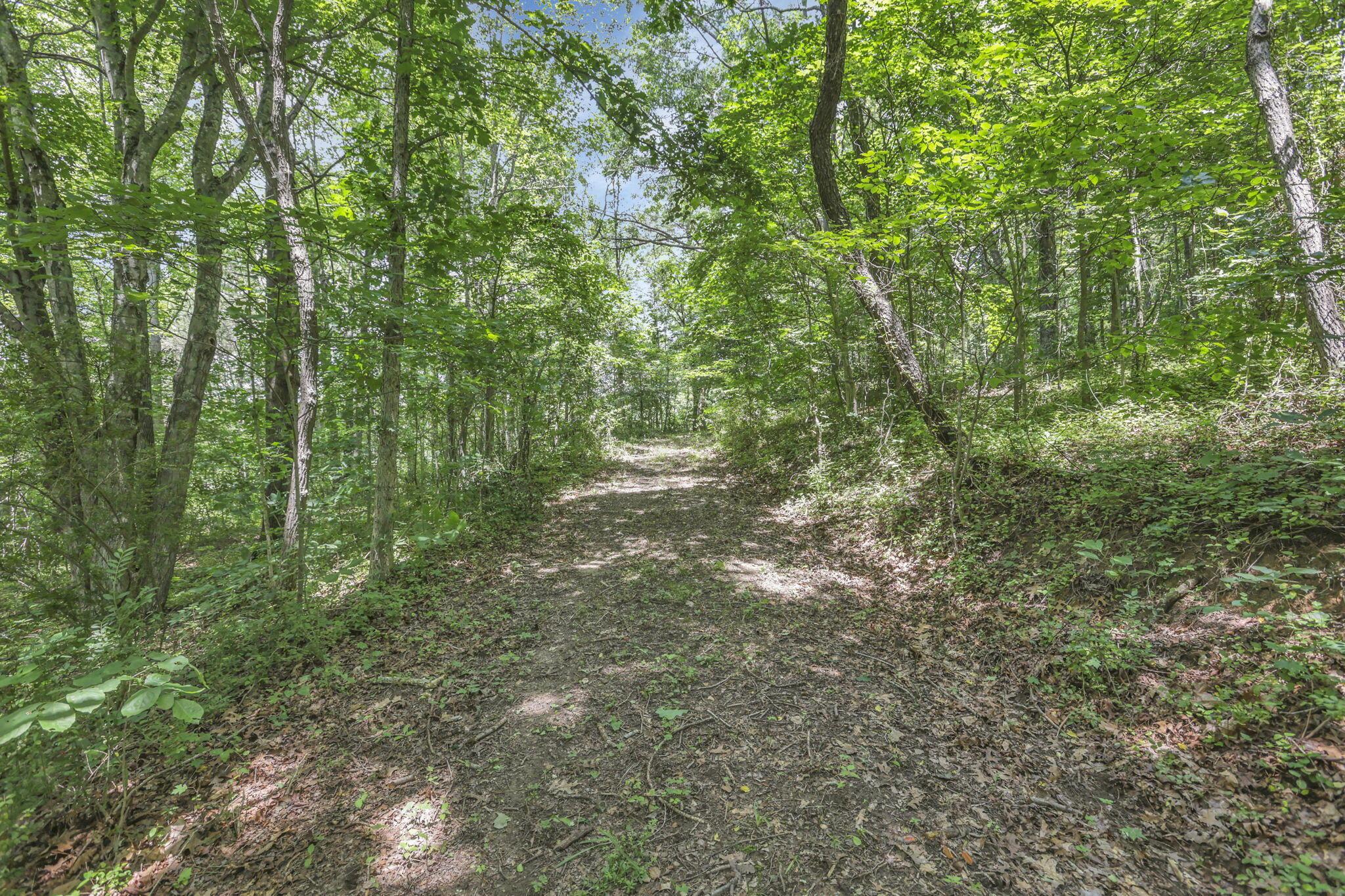 0 Us Hwy 50 Highway, W Property Photo 32