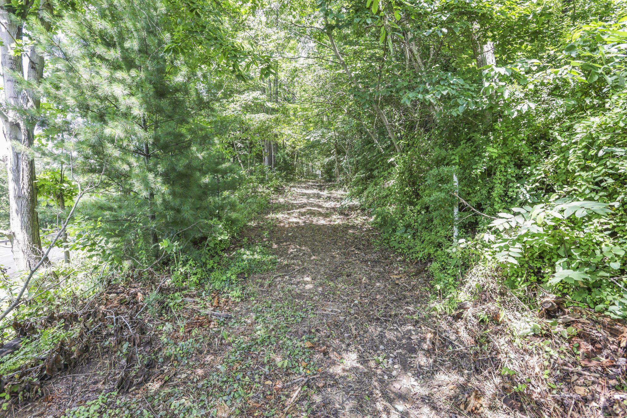 0 Us Hwy 50 Highway, W Property Photo 34