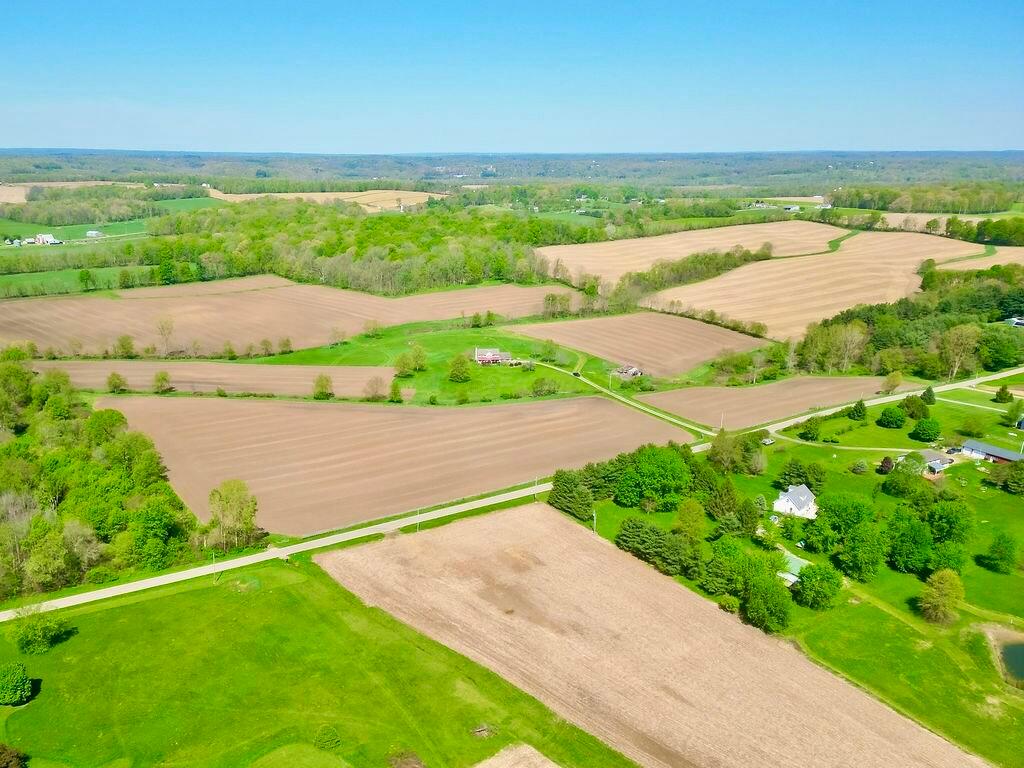 8381 Horn Road Property Photo 11