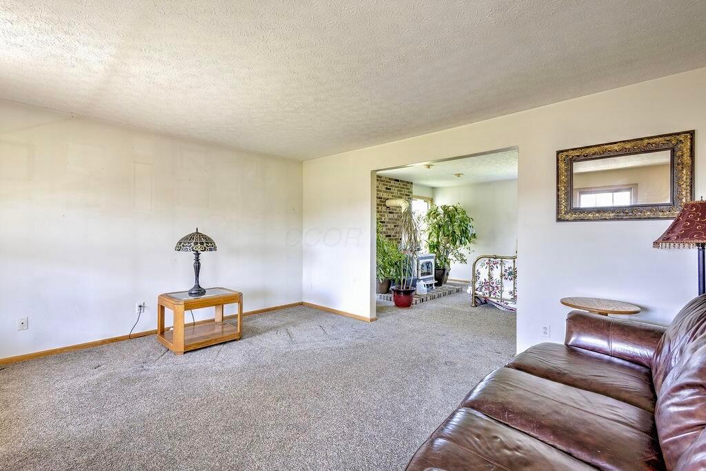8381 Horn Road Property Photo 21