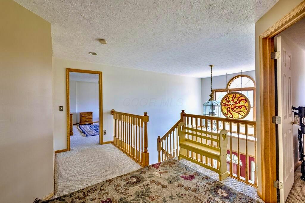 8381 Horn Road Property Photo 26