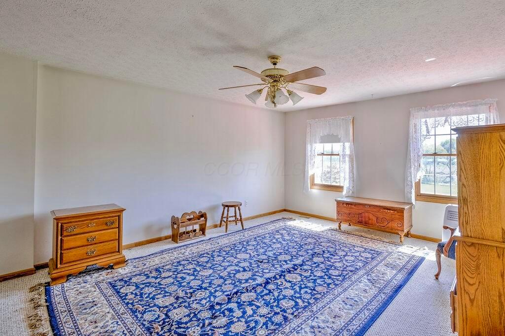 8381 Horn Road Property Photo 28