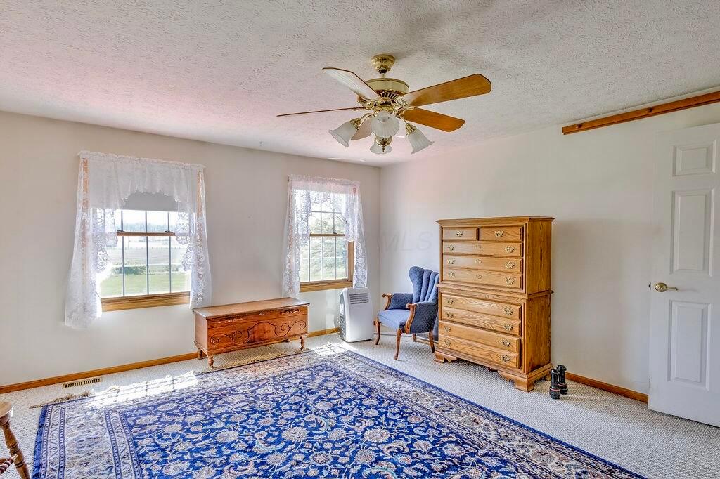 8381 Horn Road Property Photo 29