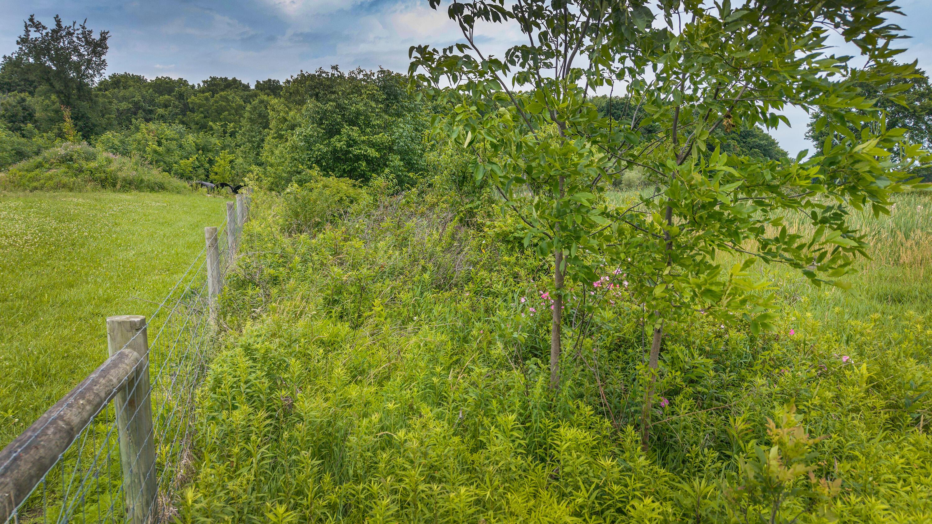 0 Johnstown Road Property Photo 10