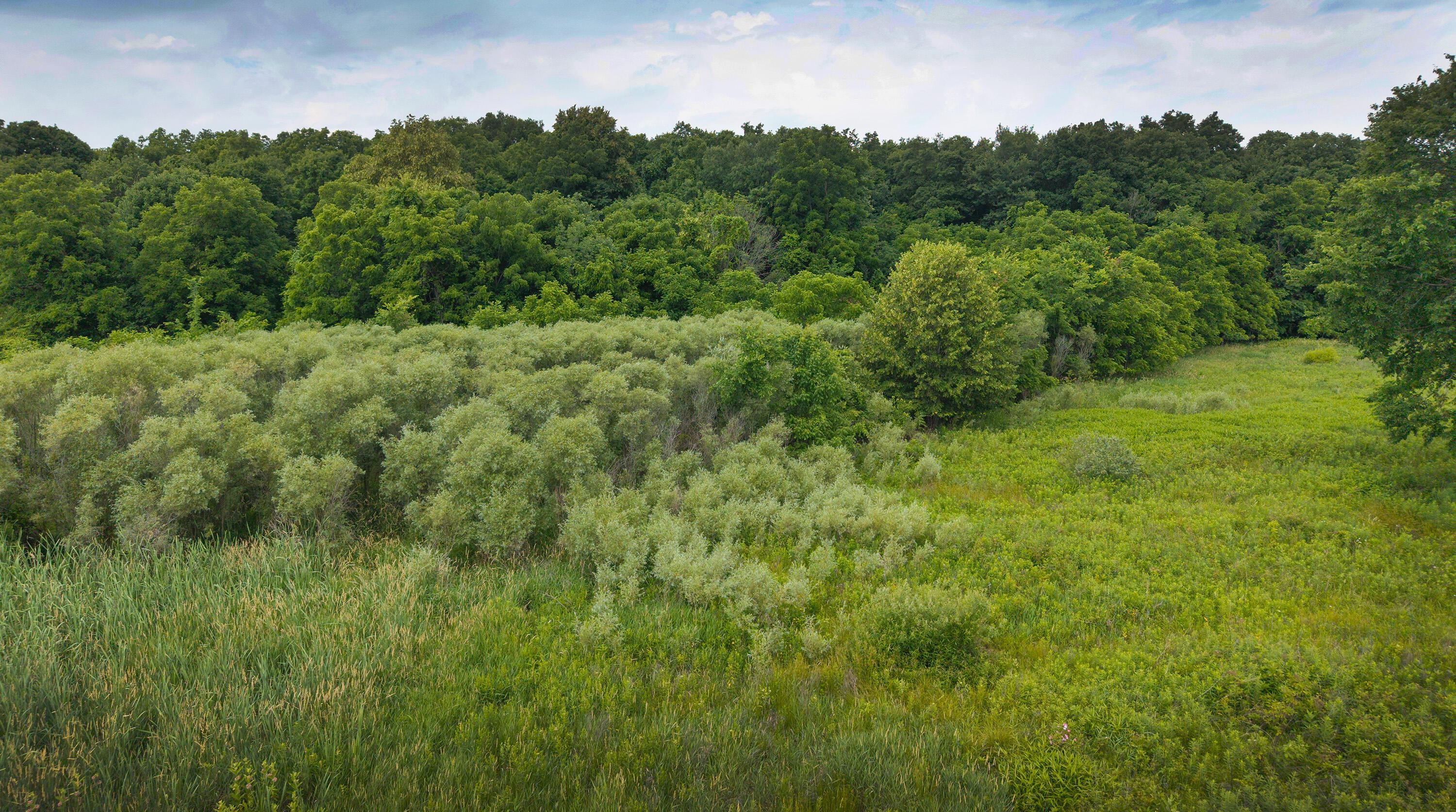 0 Johnstown Road Property Photo 12