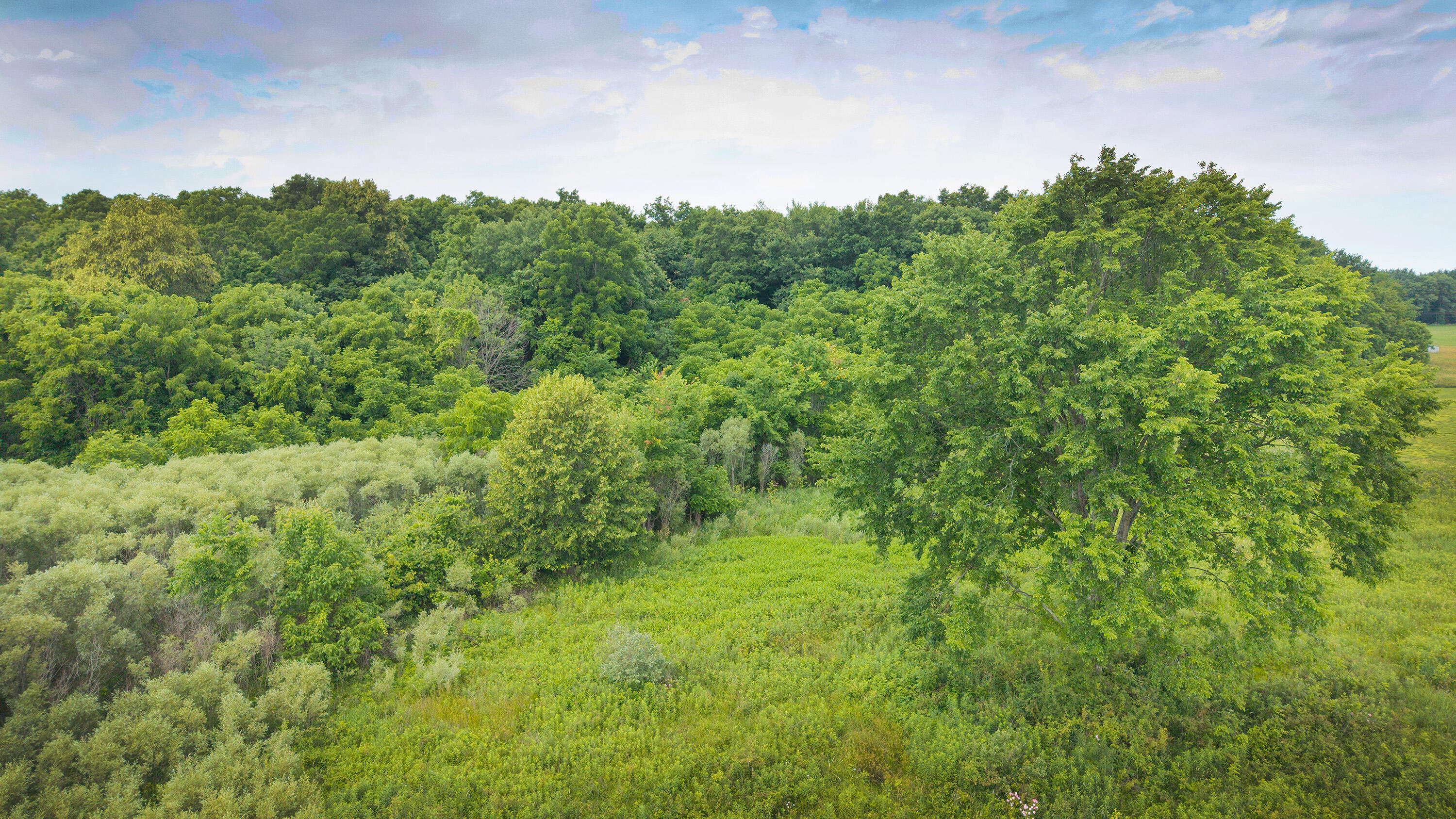 0 Johnstown Road Property Photo 16