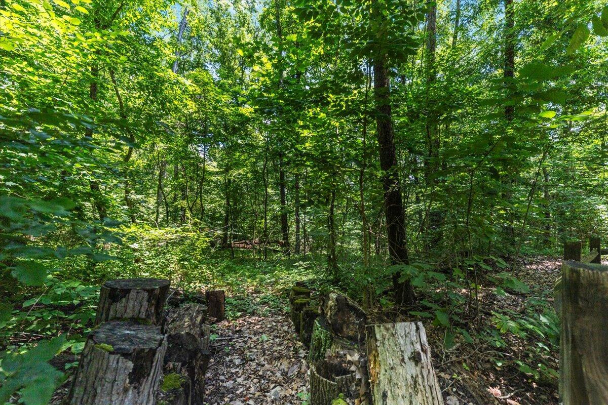 18862 Indigo Lane Property Photo 16