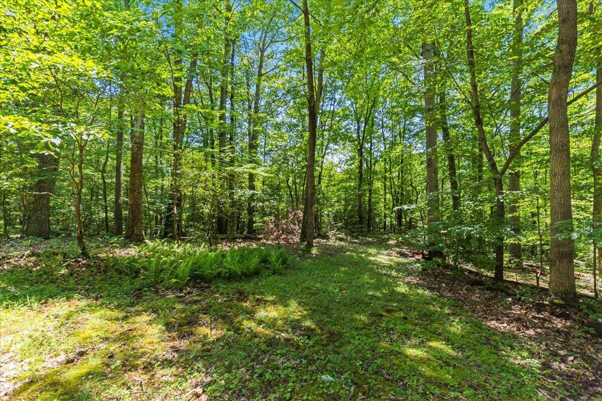 18862 Indigo Lane Property Photo 17