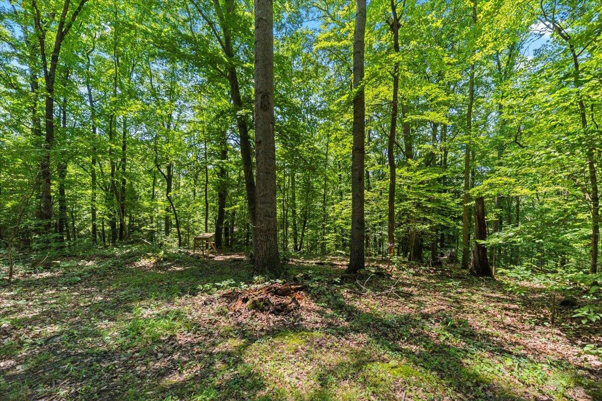 18862 Indigo Lane Property Photo 18