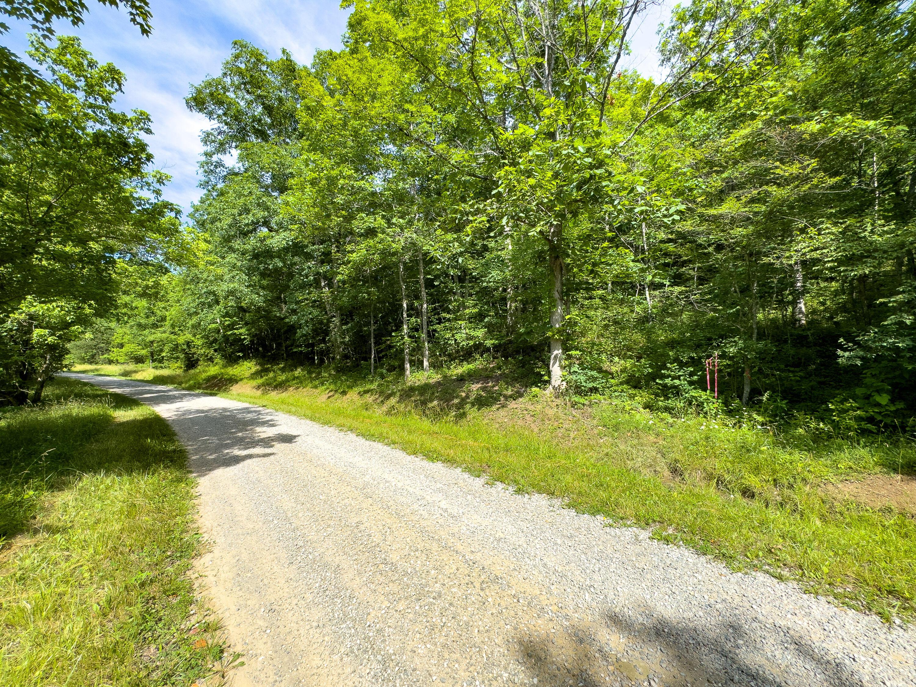 0 Jake Road Property Photo 2