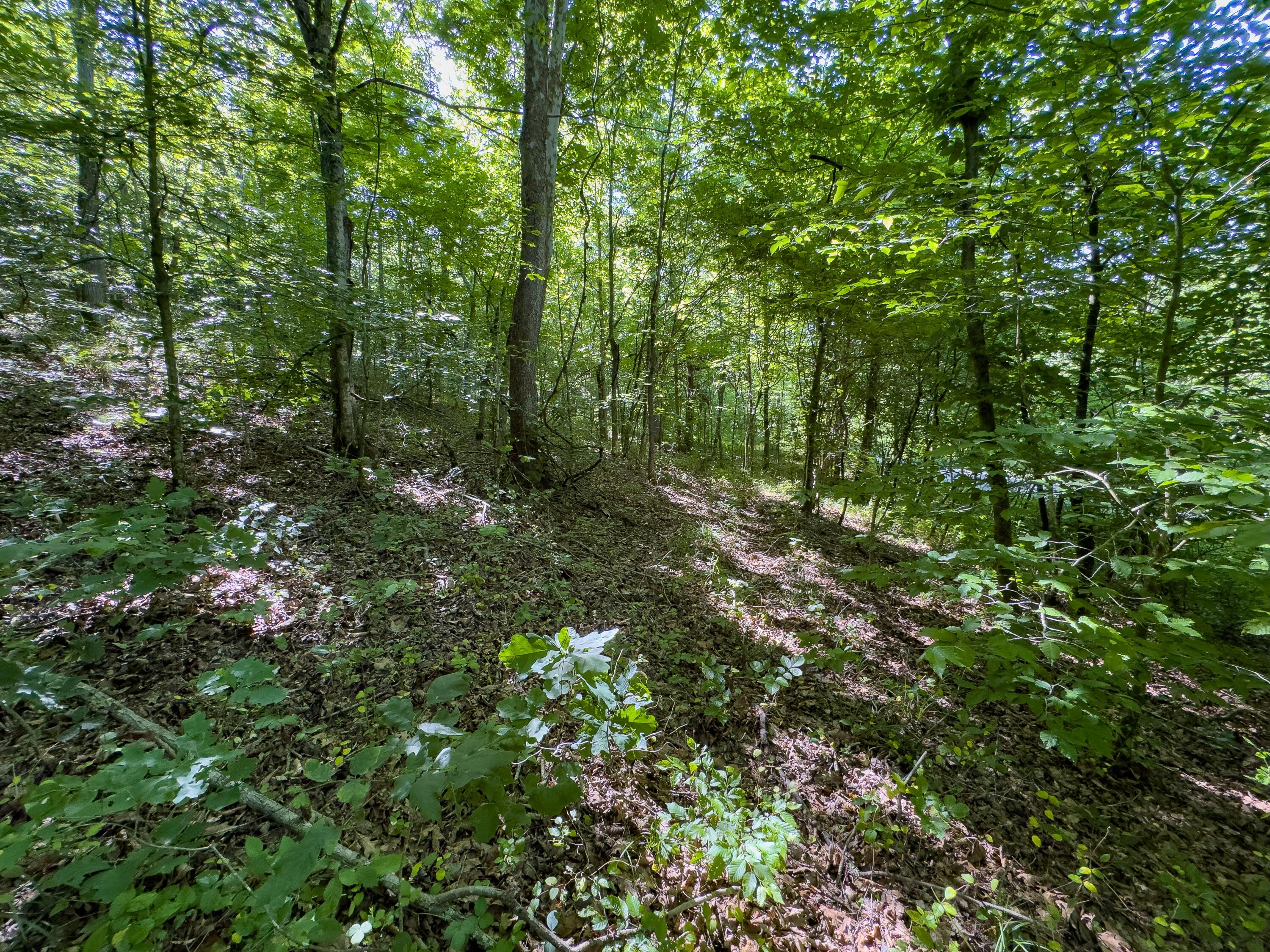 0 Jake Road Property Photo 6