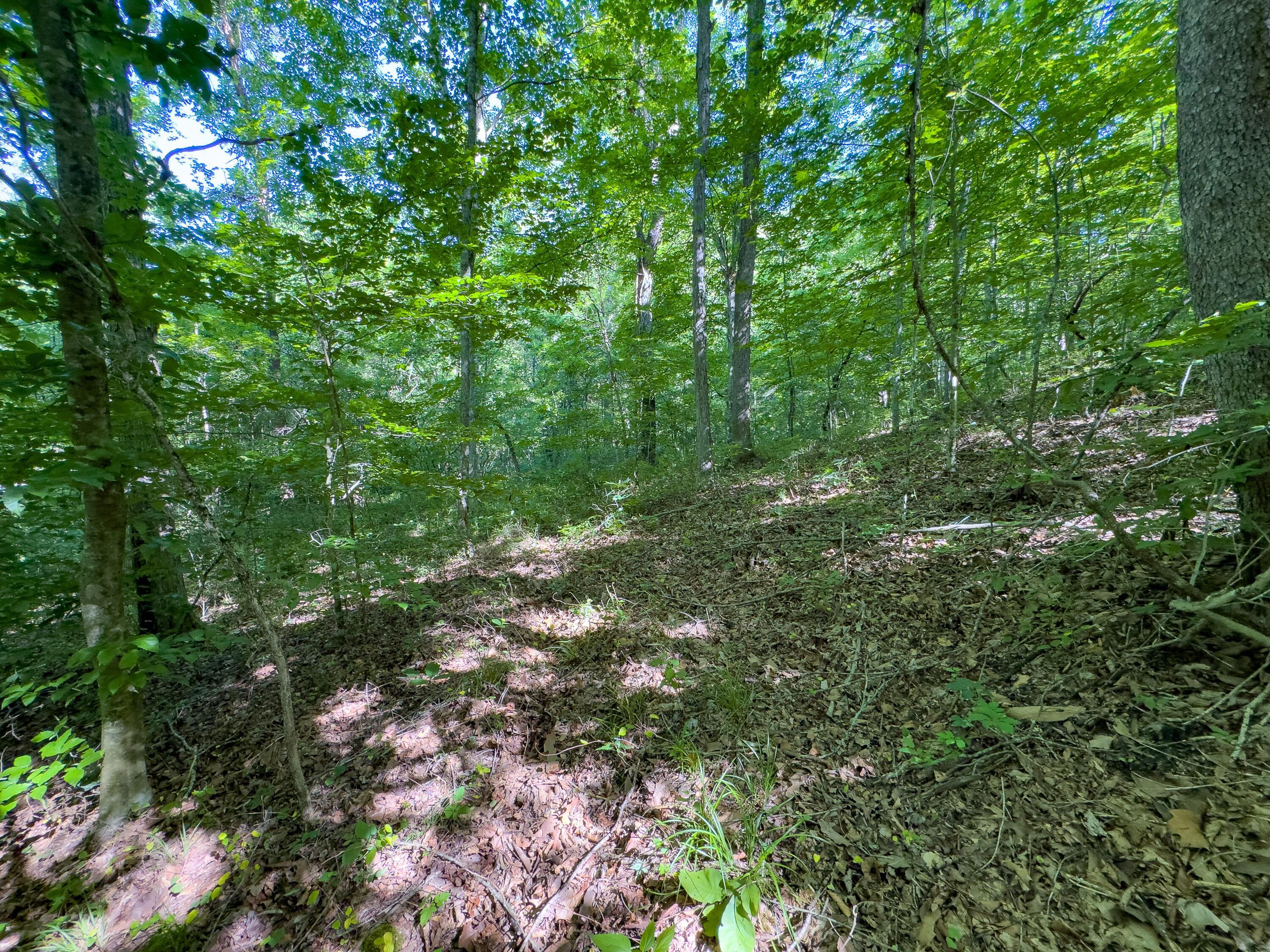0 Jake Road Property Photo 7