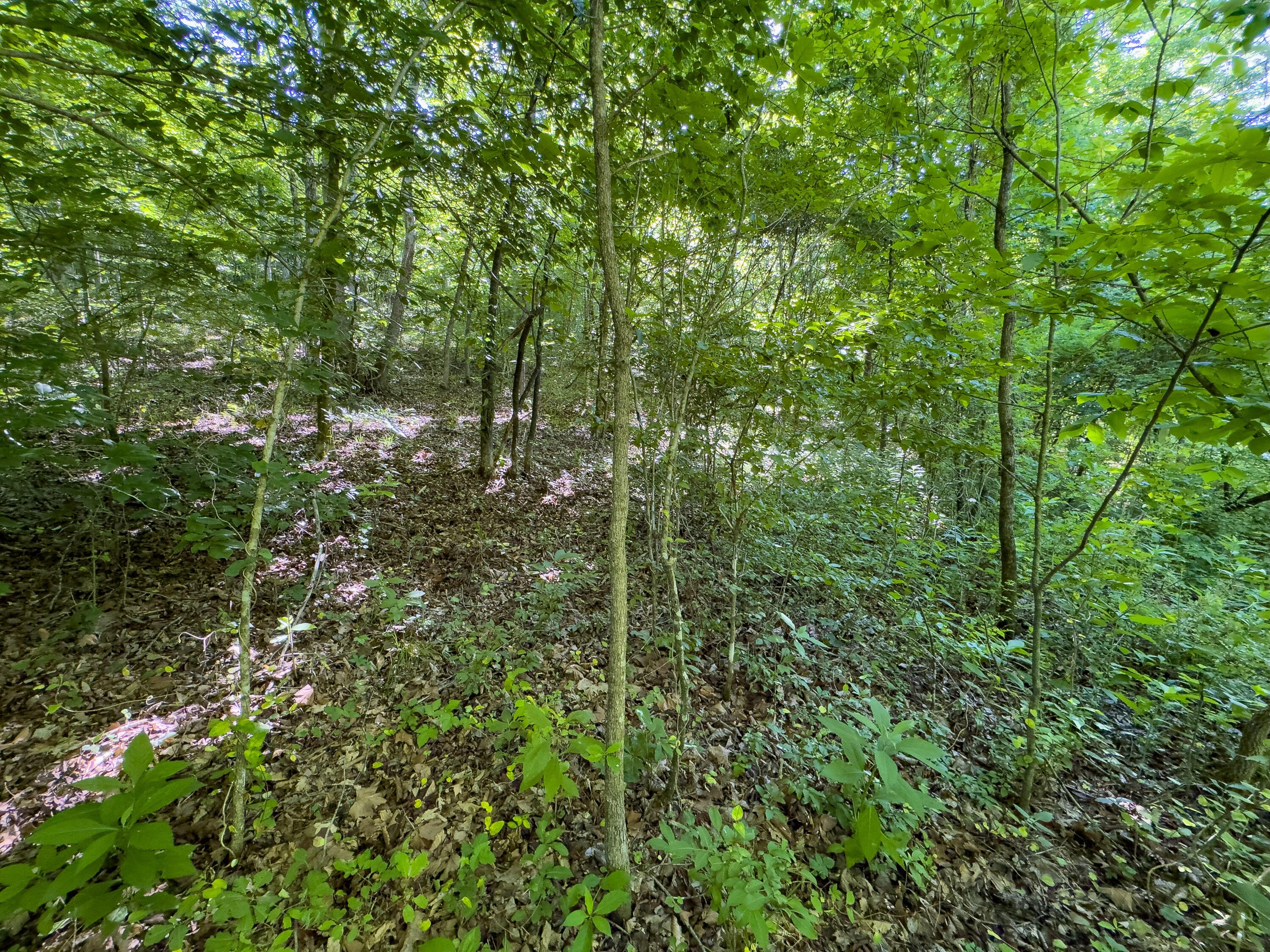 0 Jake Road Property Photo 12