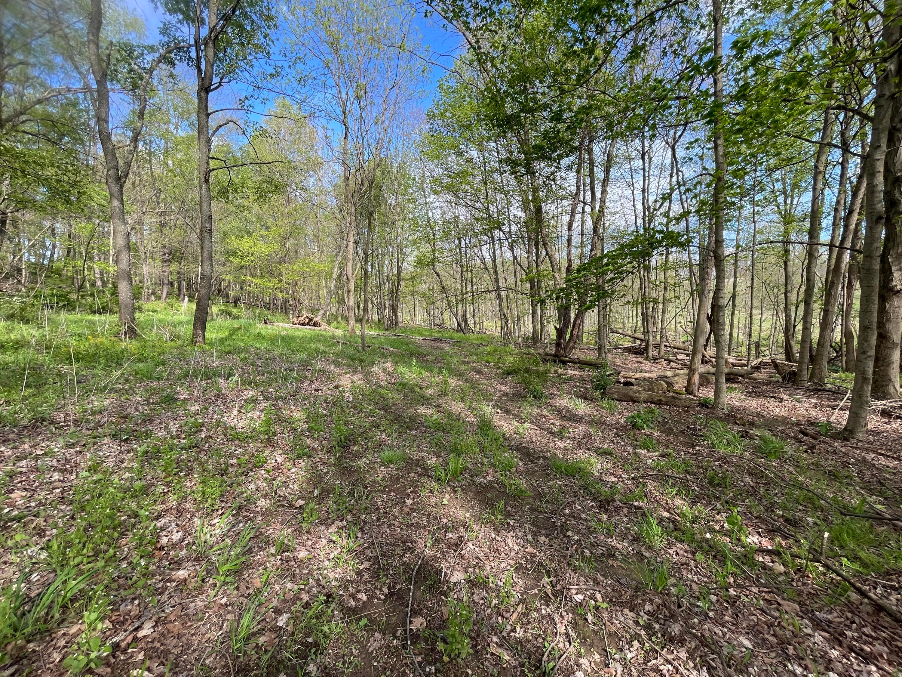 0 Monroe Mills Road Property Photo 6