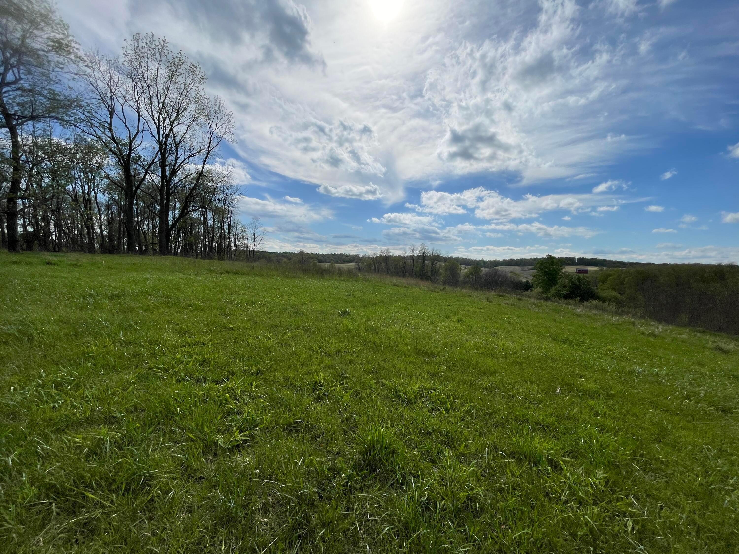 0 Monroe Mills Road Property Photo 9