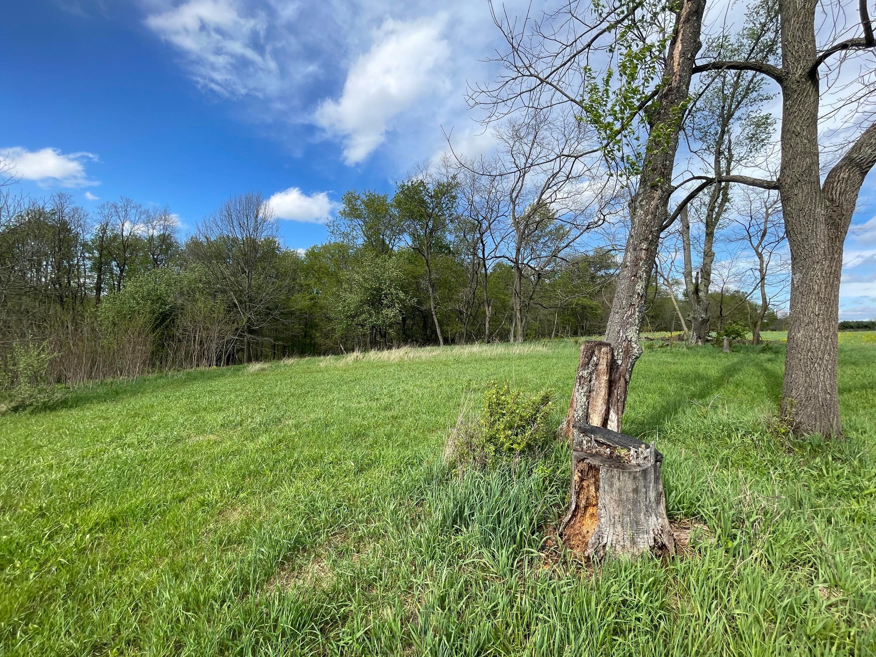0 Monroe Mills Road Property Photo 11