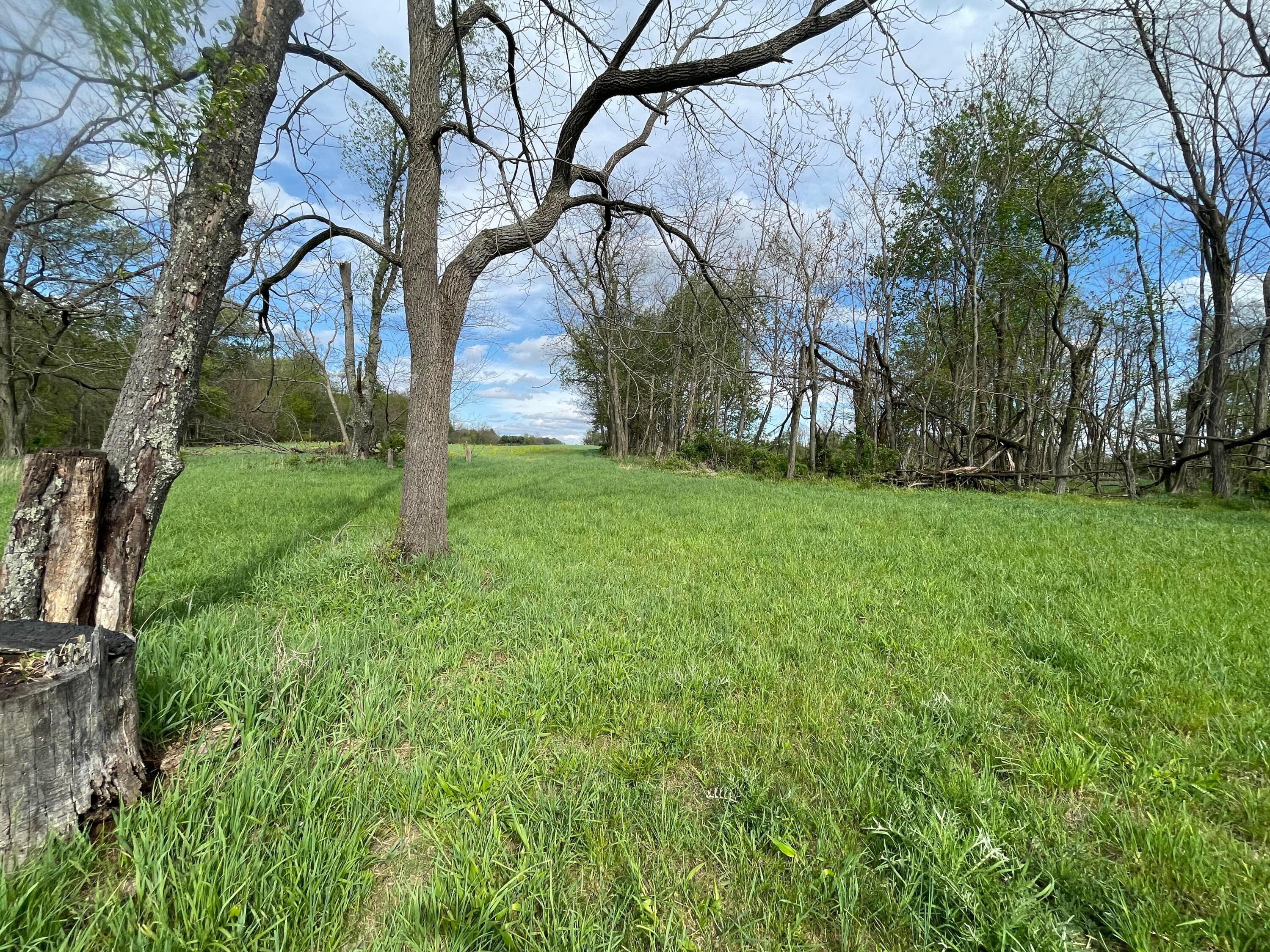 0 Monroe Mills Road Property Photo 12