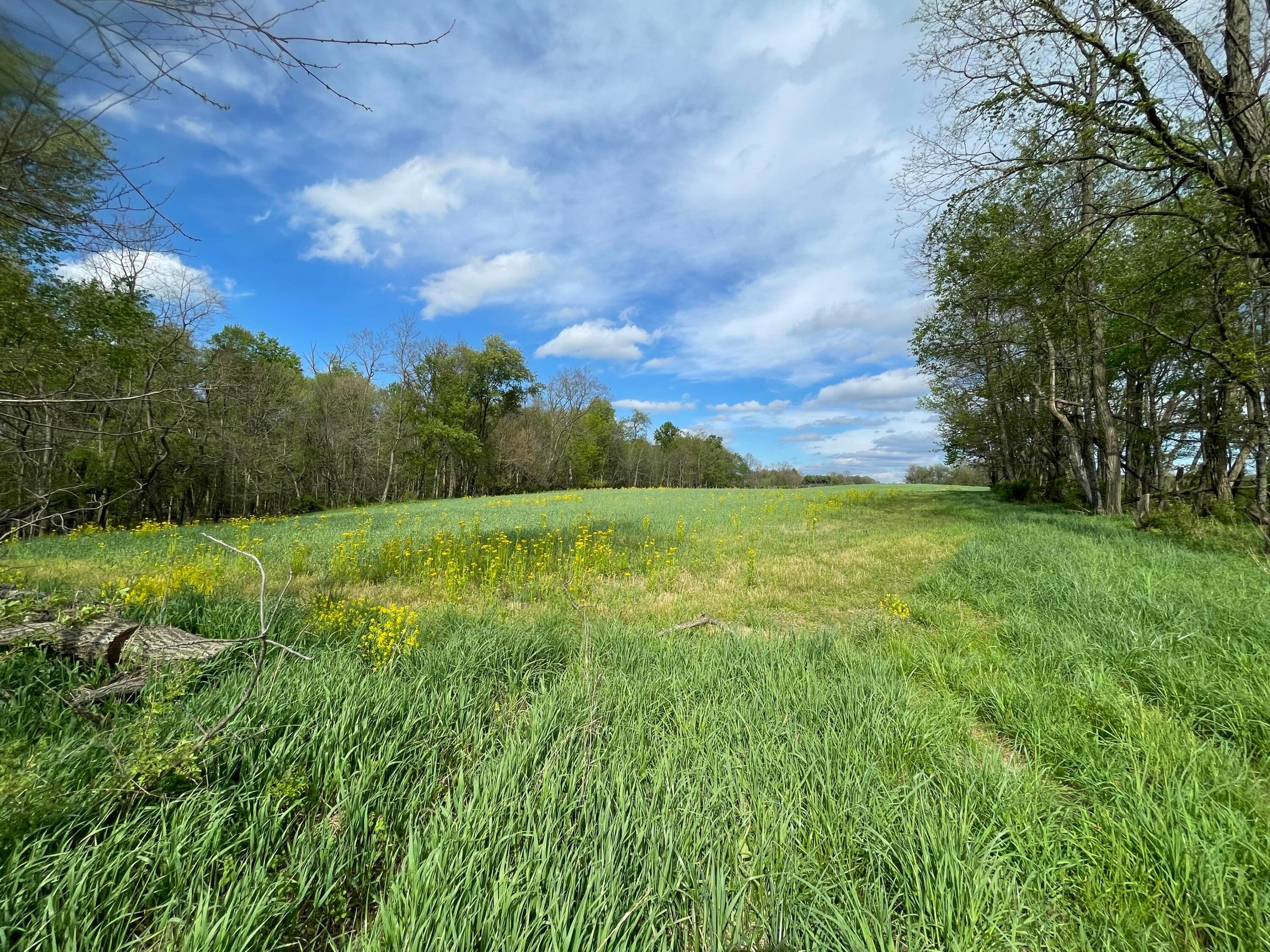 0 Monroe Mills Road Property Photo 13