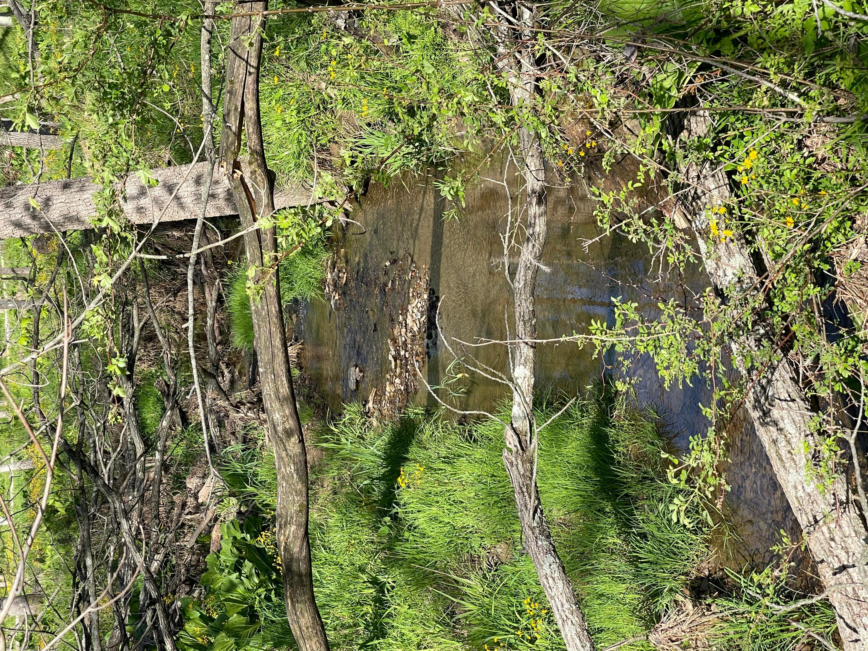 0 Monroe Mills Road Property Photo 14