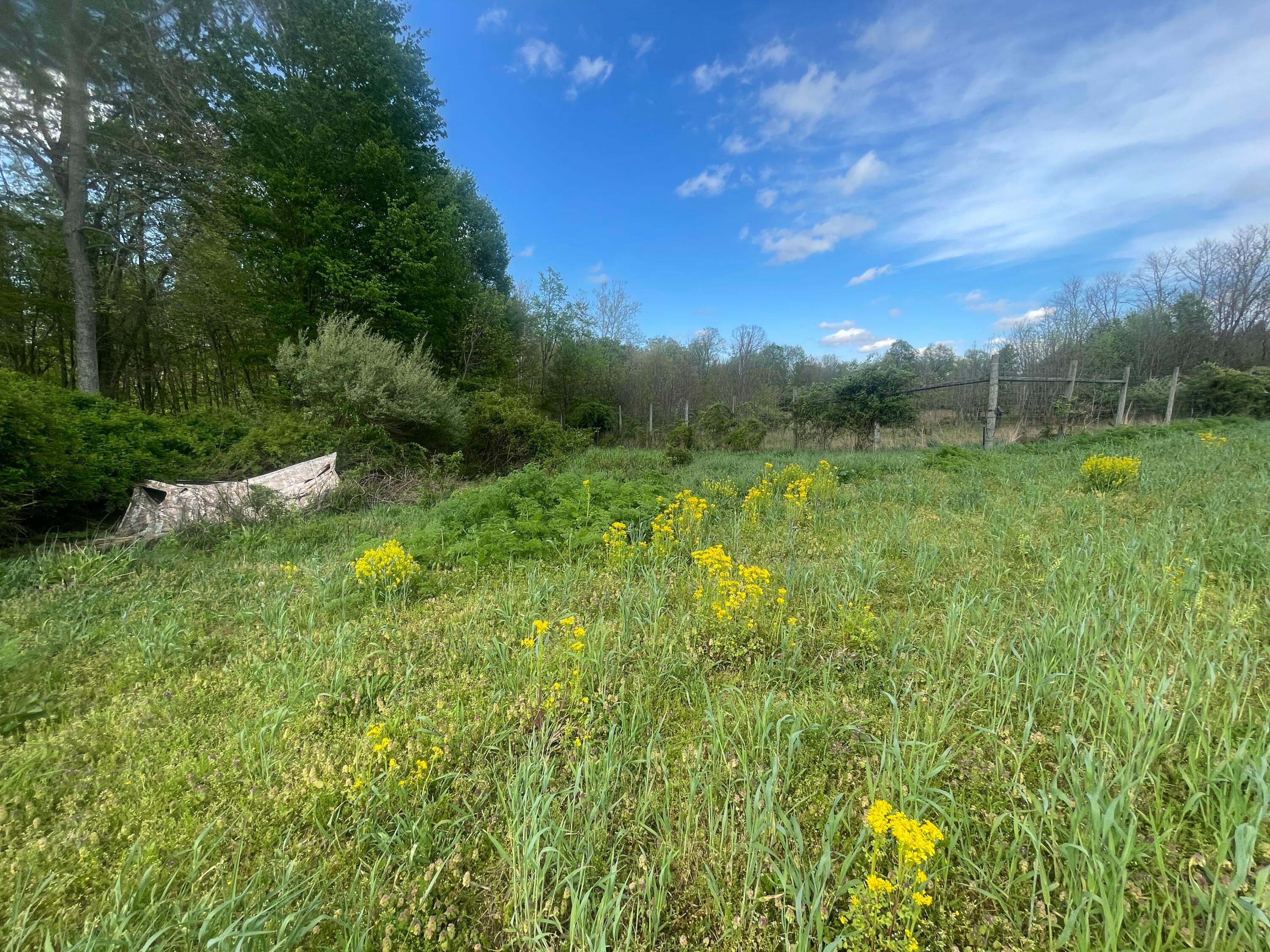 0 Monroe Mills Road Property Photo 20