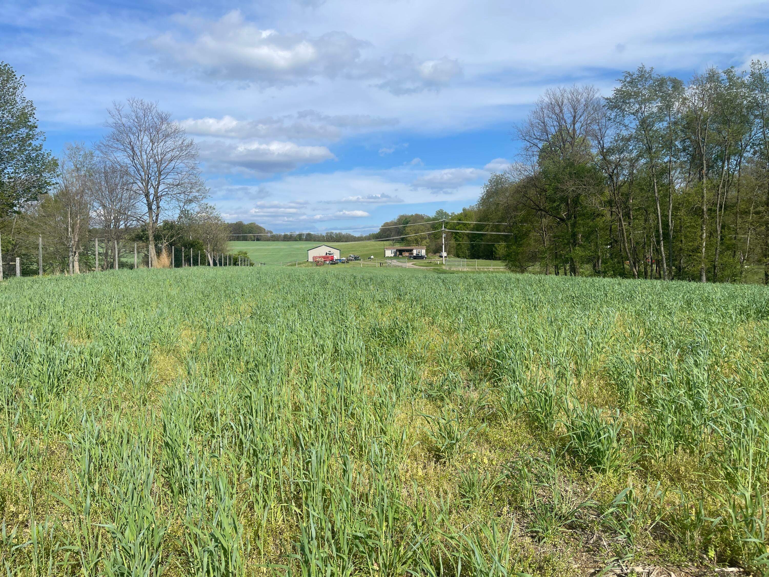 0 Monroe Mills Road Property Photo 21