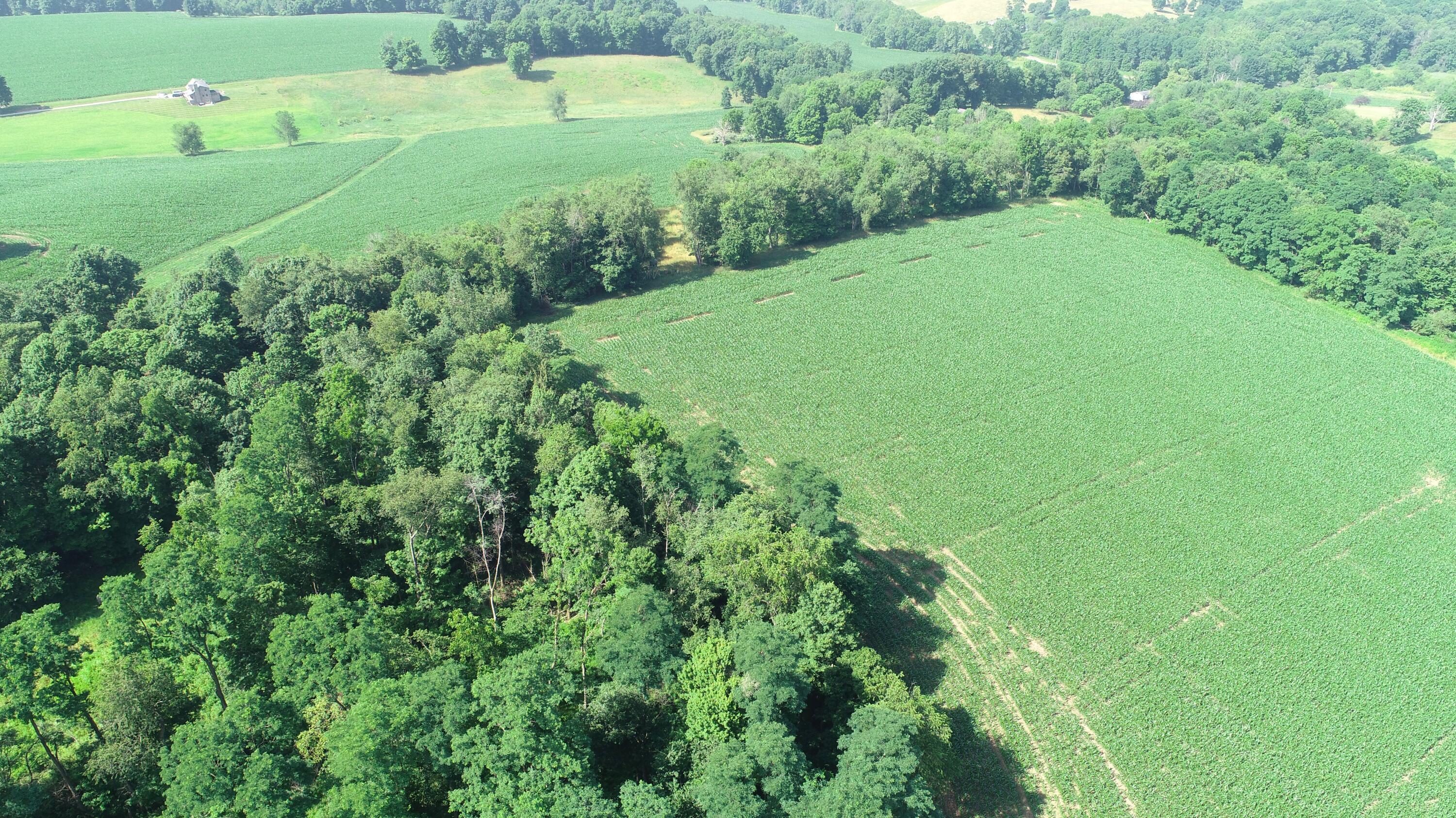 0 Monroe Mills Road Property Photo 26