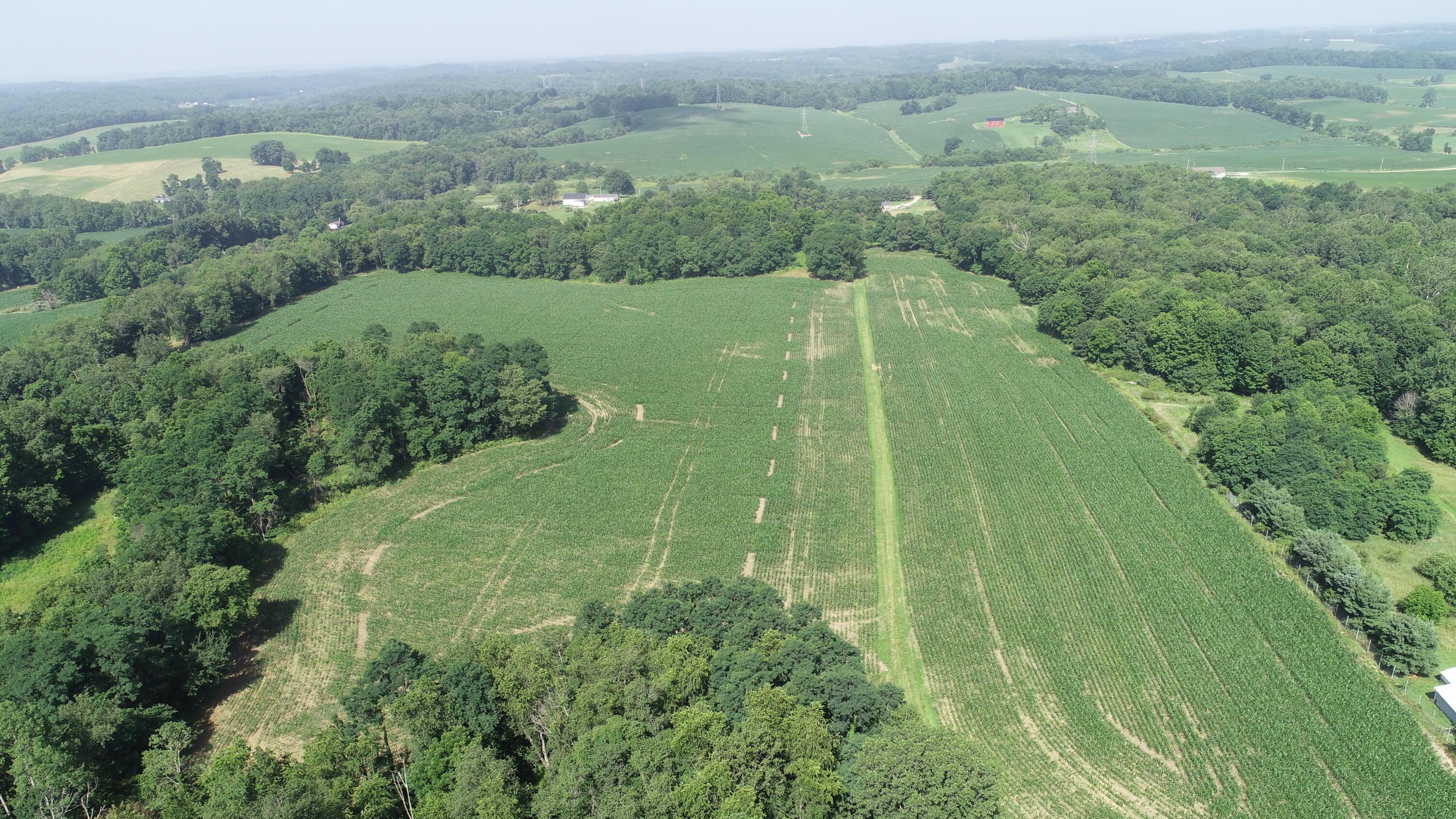 0 Monroe Mills Road Property Photo 30