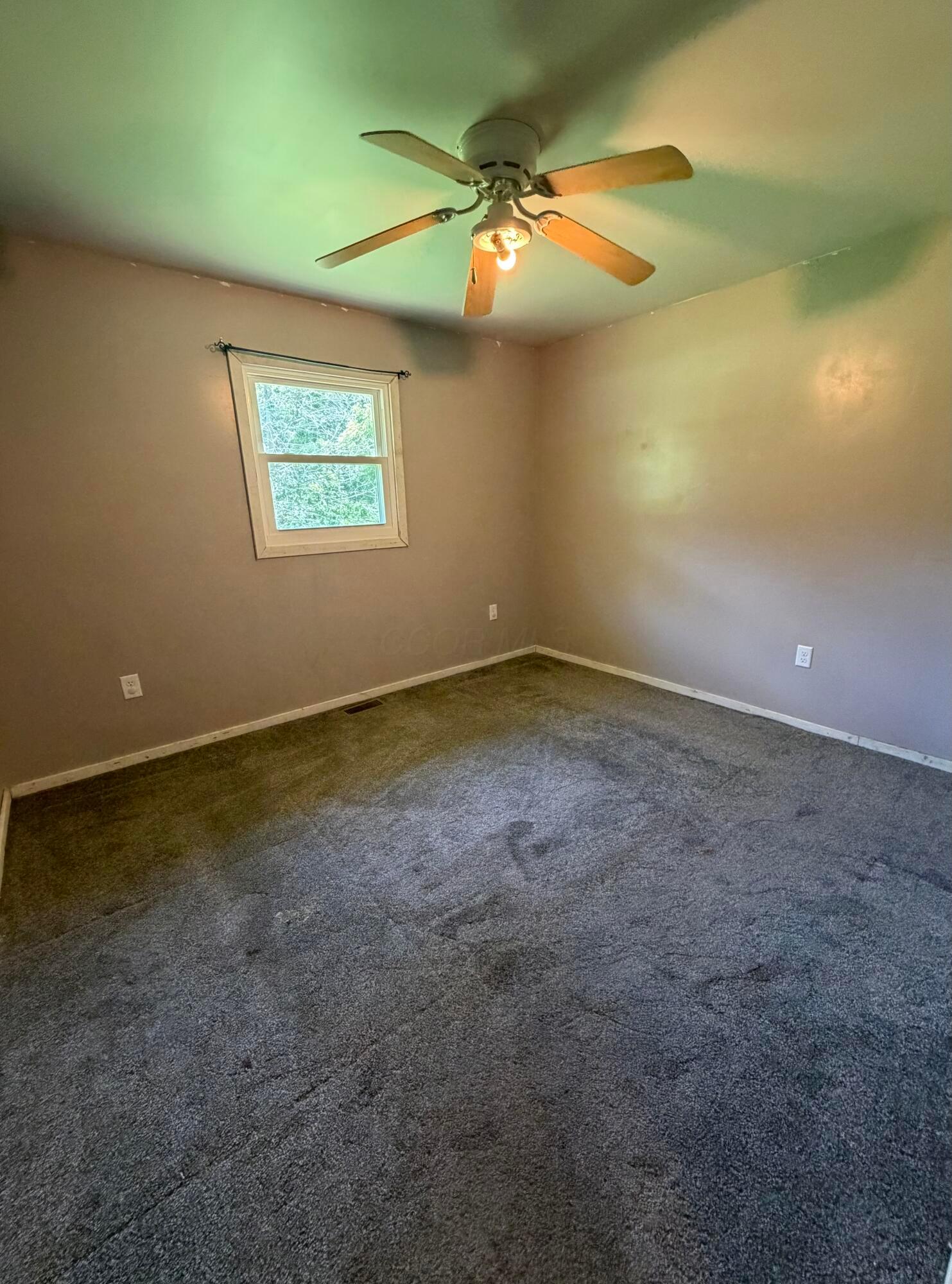 4975 Stiers Lane Property Photo 19