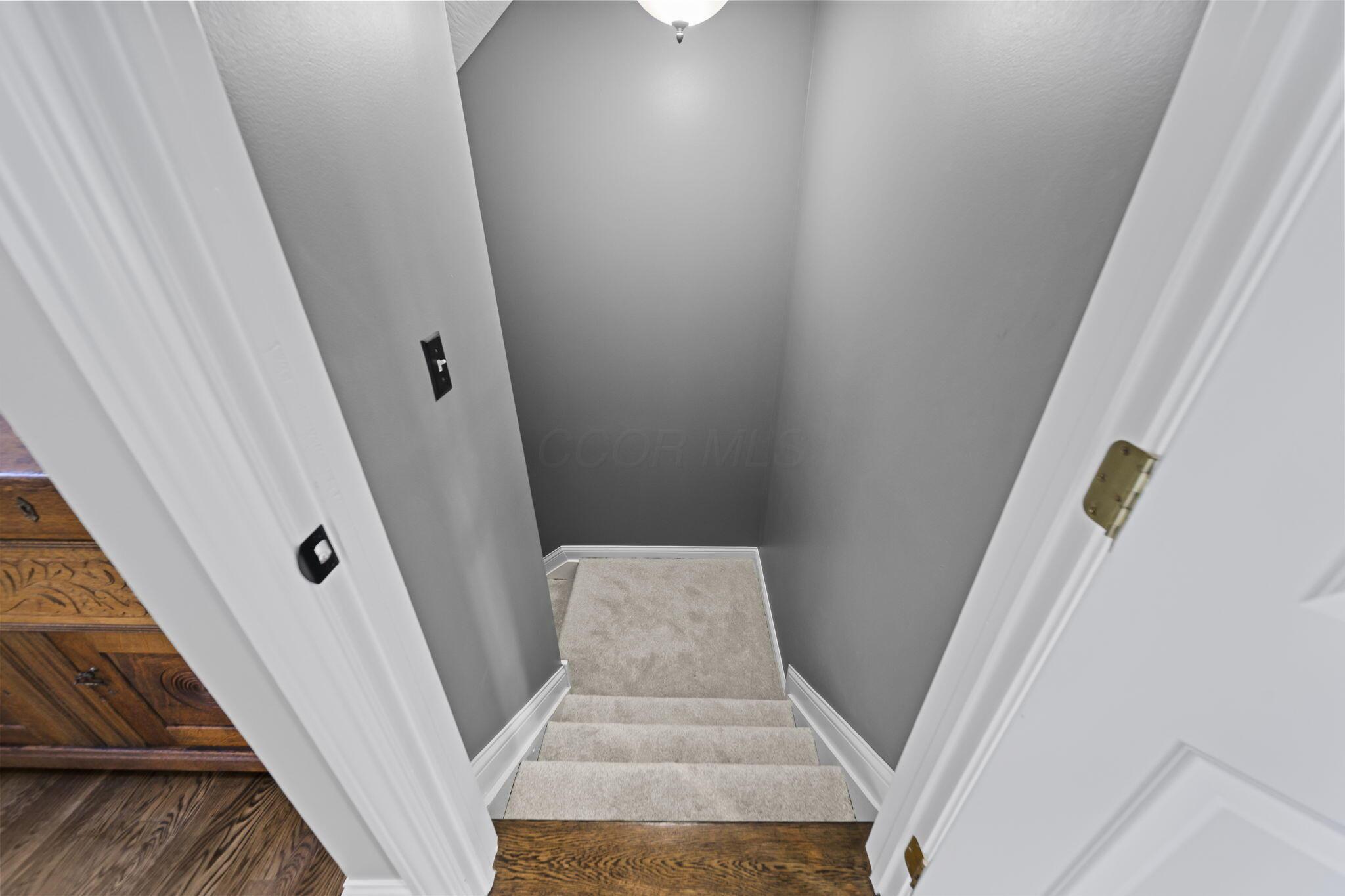 2679 Red Robin Way Property Photo 67