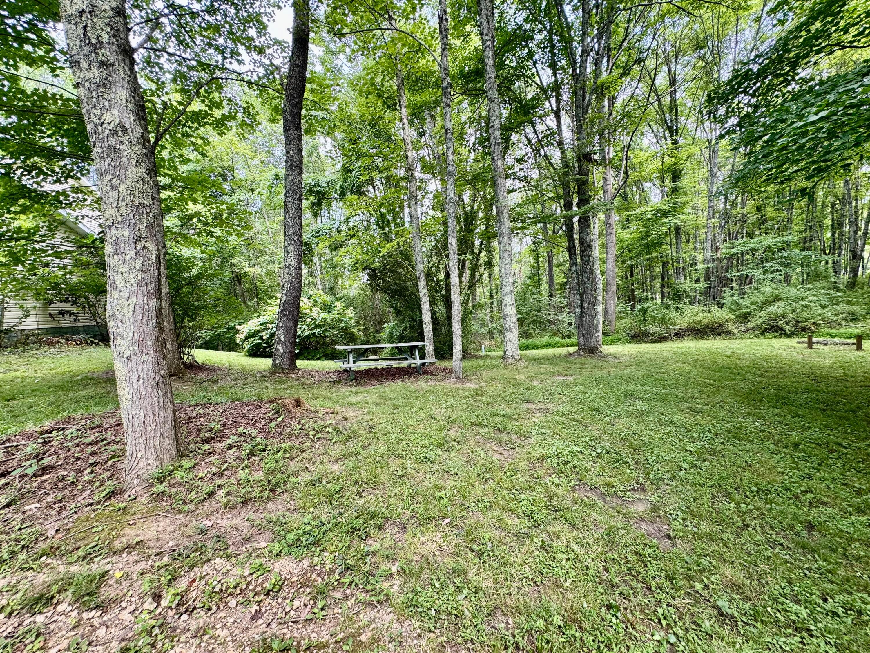 31044 Mays Road Property Photo 30