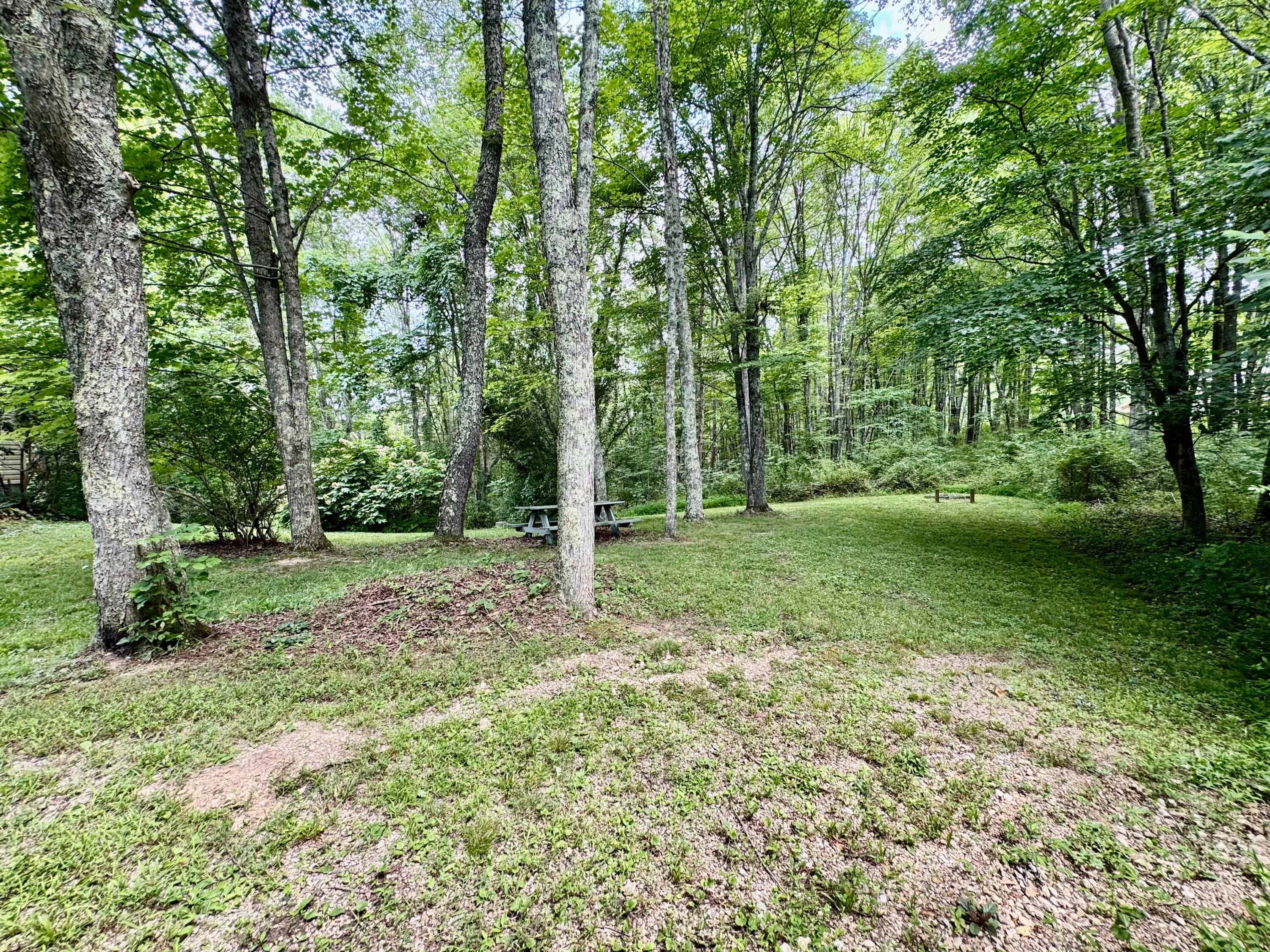 31044 Mays Road Property Photo 31