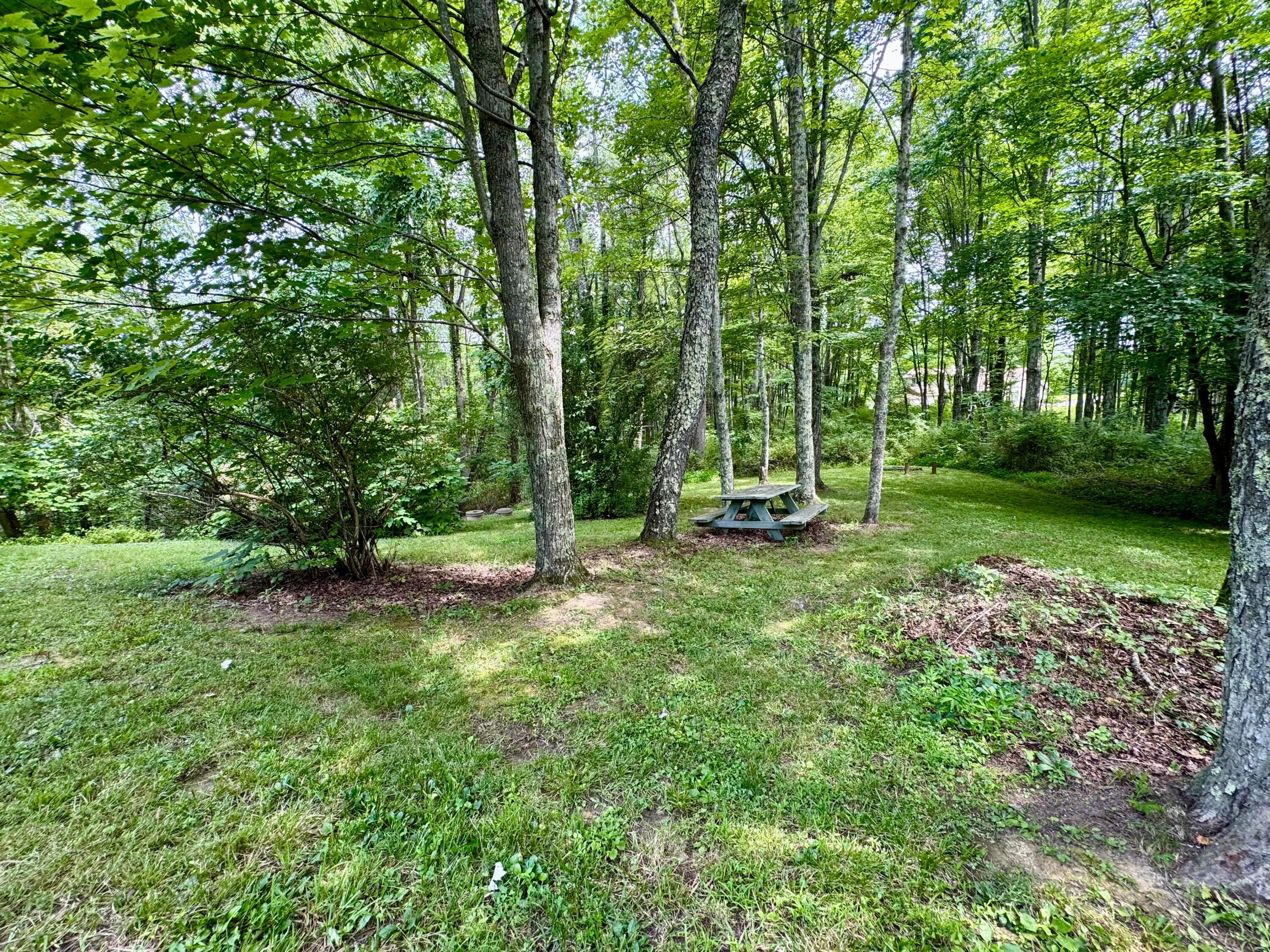 31044 Mays Road Property Photo 37