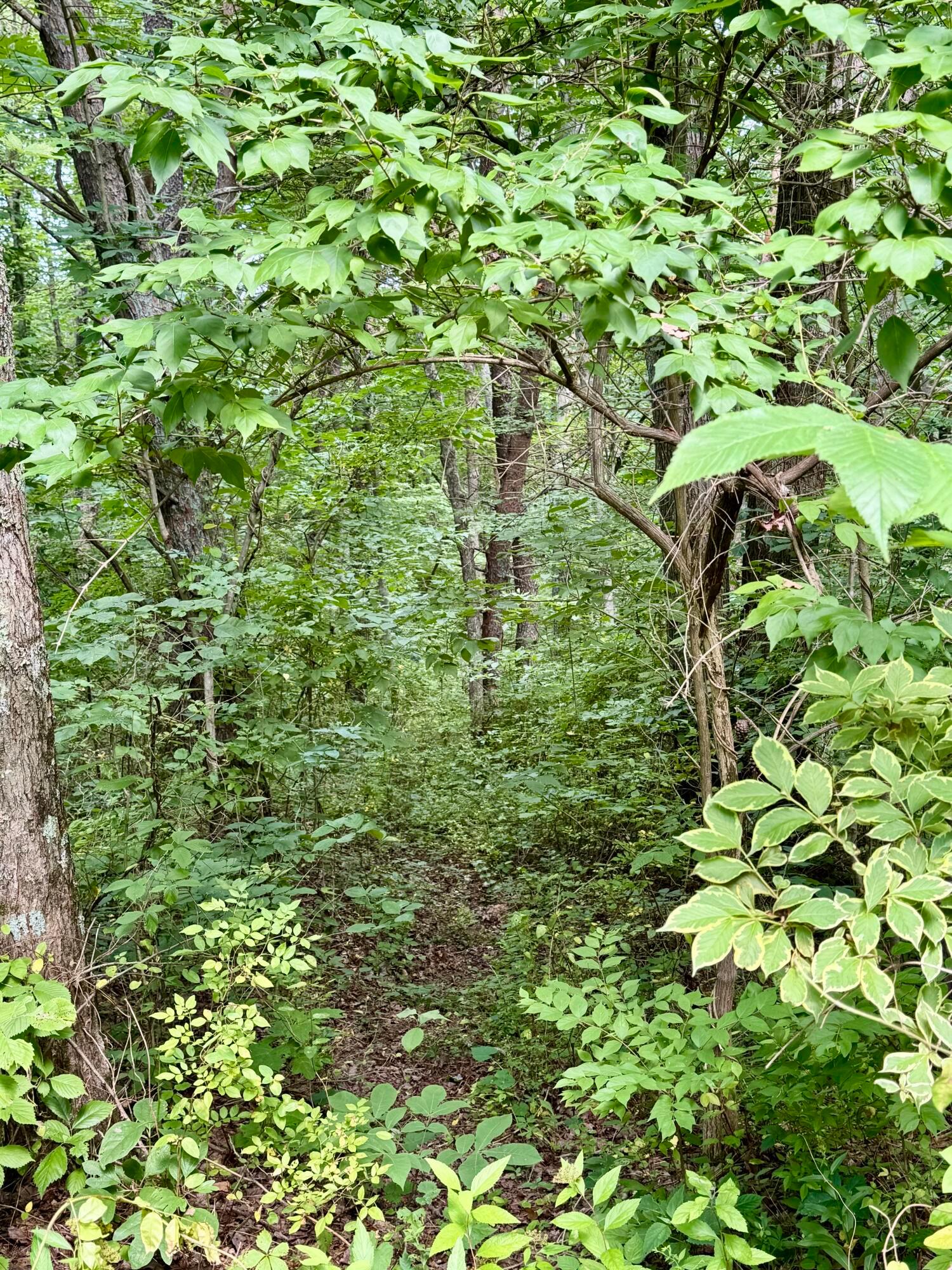 31044 Mays Road Property Photo 38