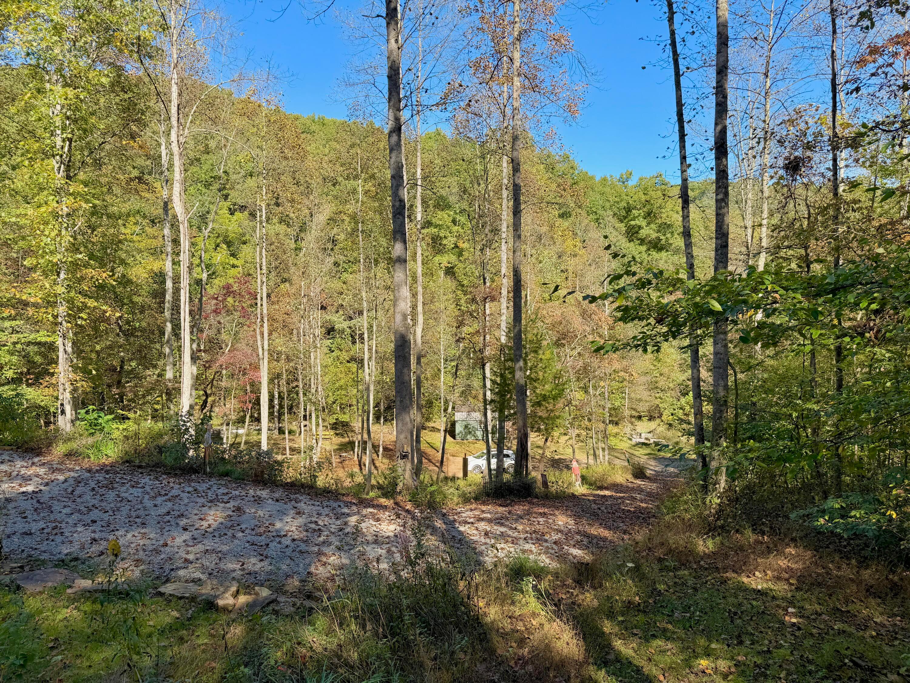 19479 Bogg Road Property Photo 3