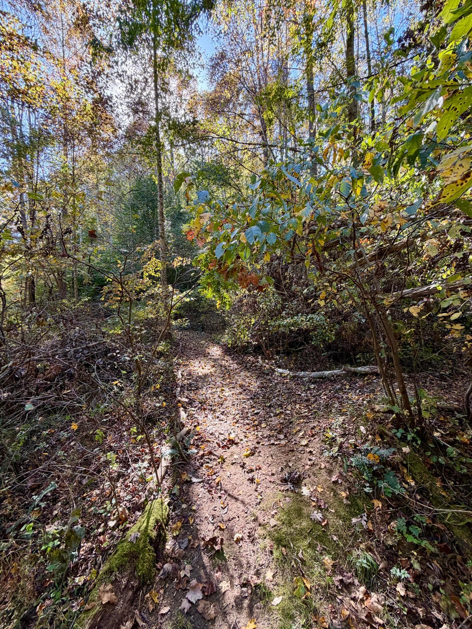 19479 Bogg Road Property Photo 17