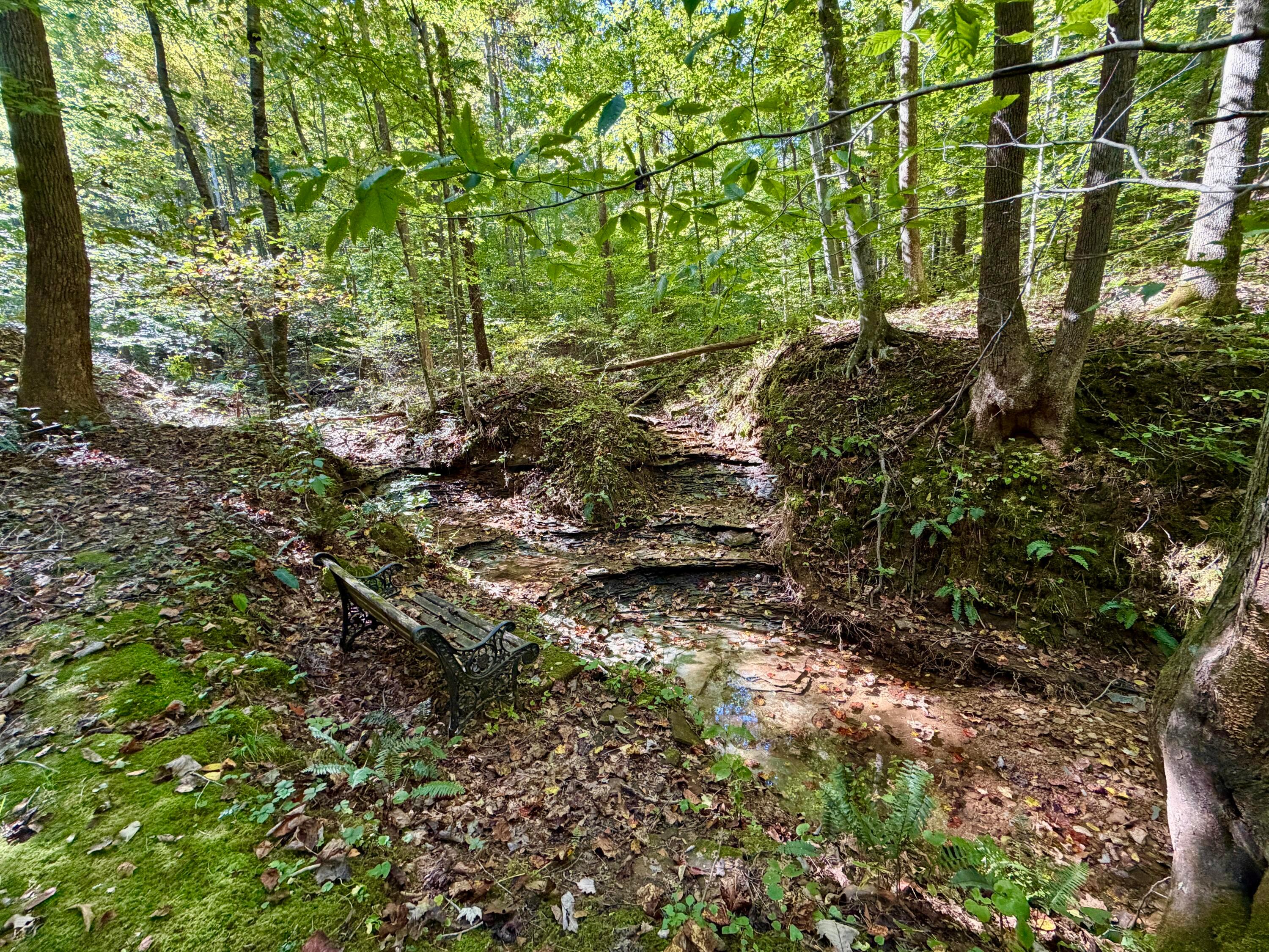 19479 Bogg Road Property Photo 18