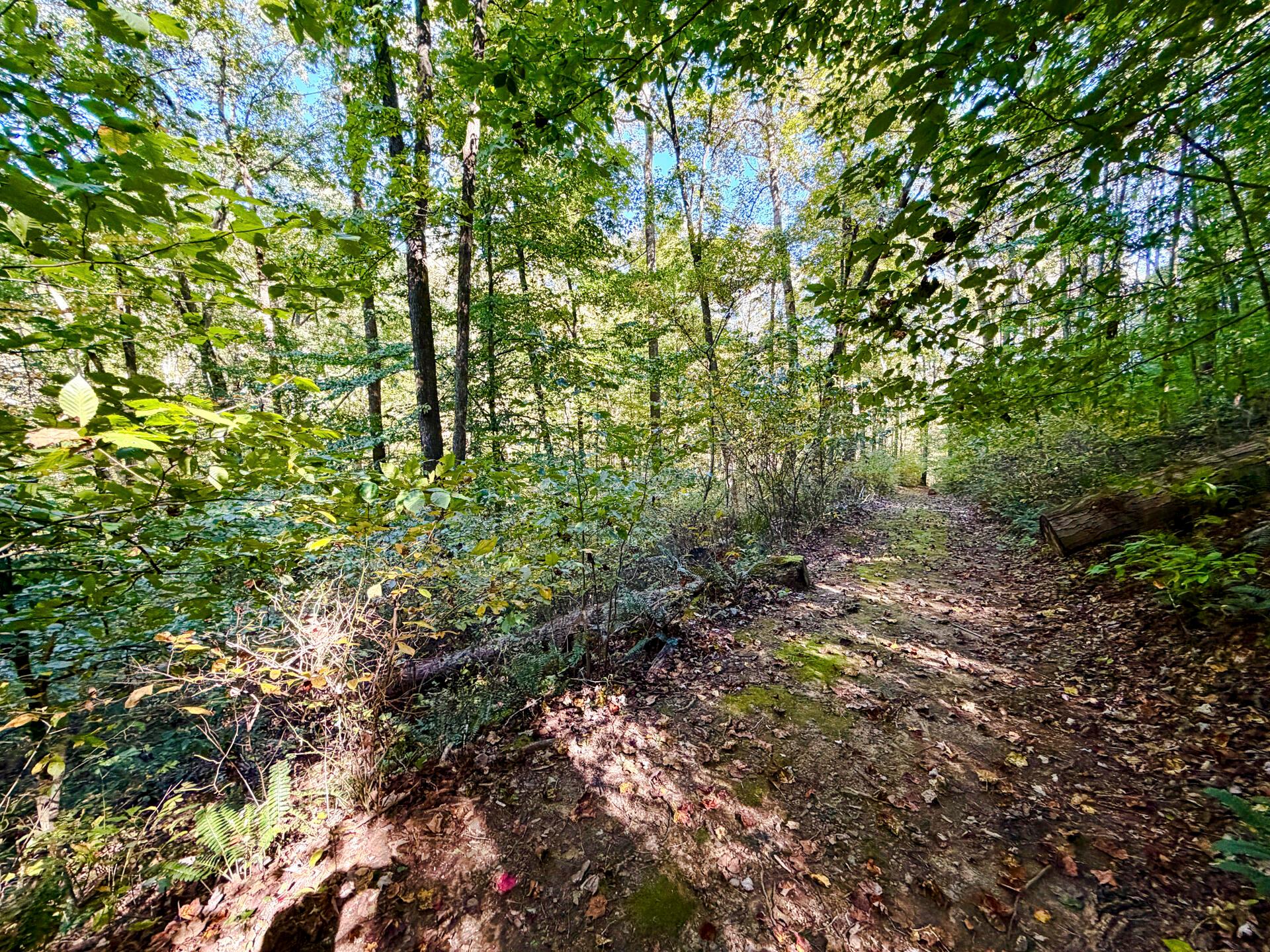 19479 Bogg Road Property Photo 26